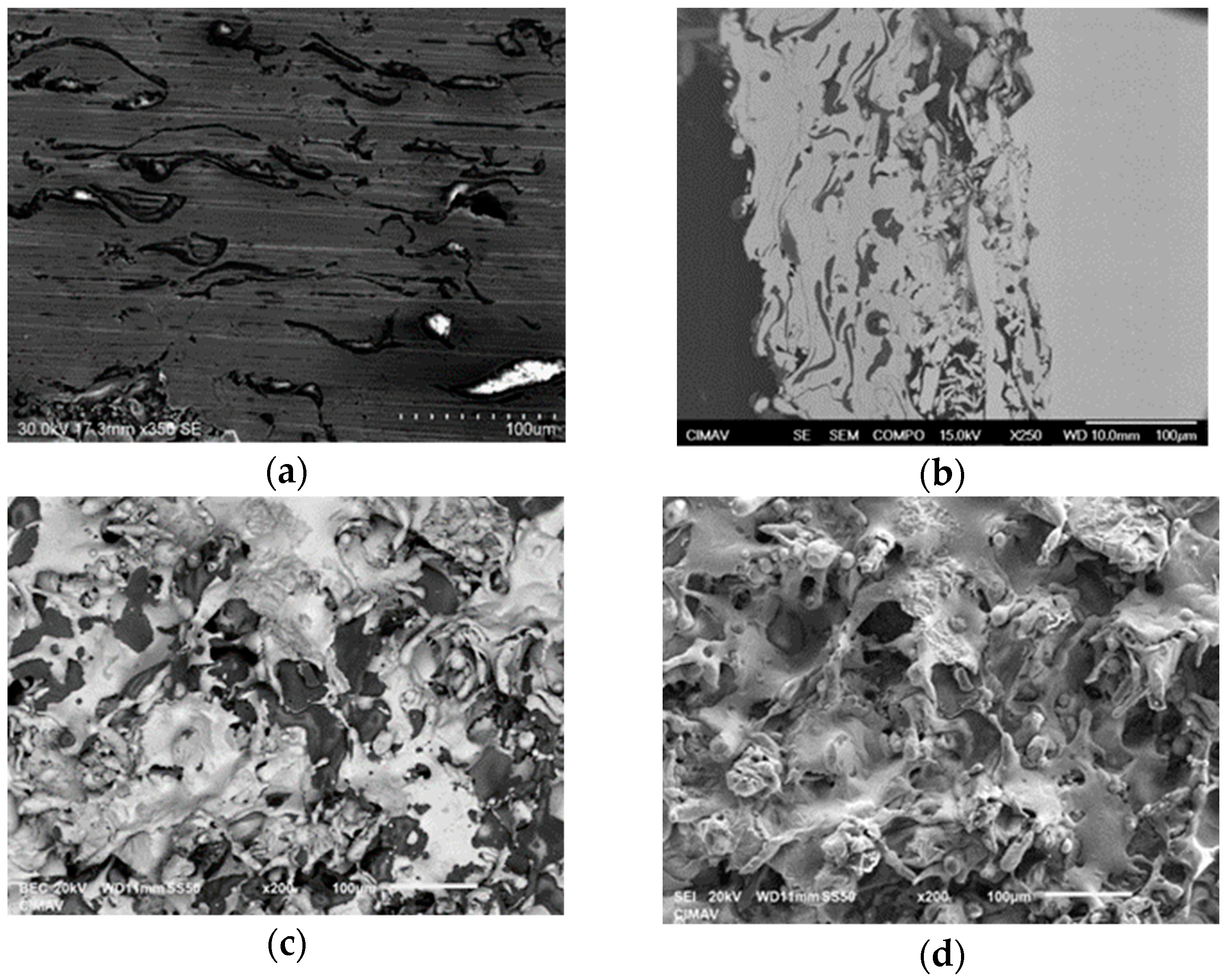 Coatings 09 00507 g005 Coatings 09 00507 g005
