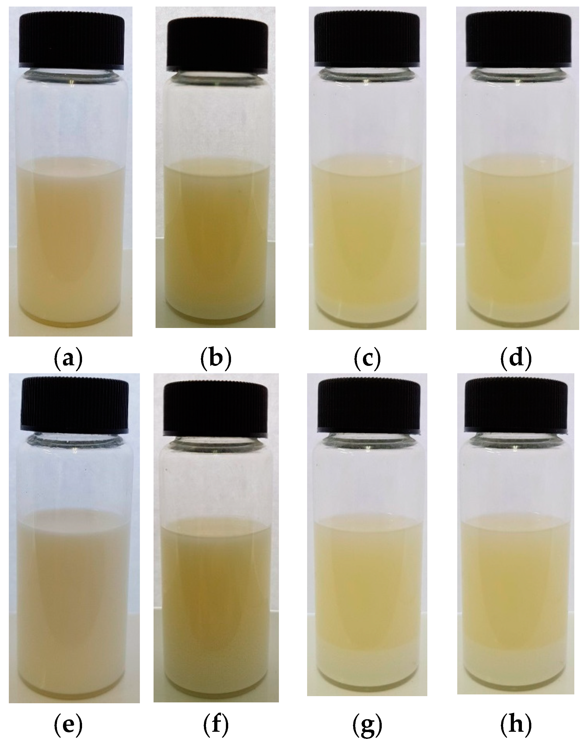 Coatings 09 00509 g004