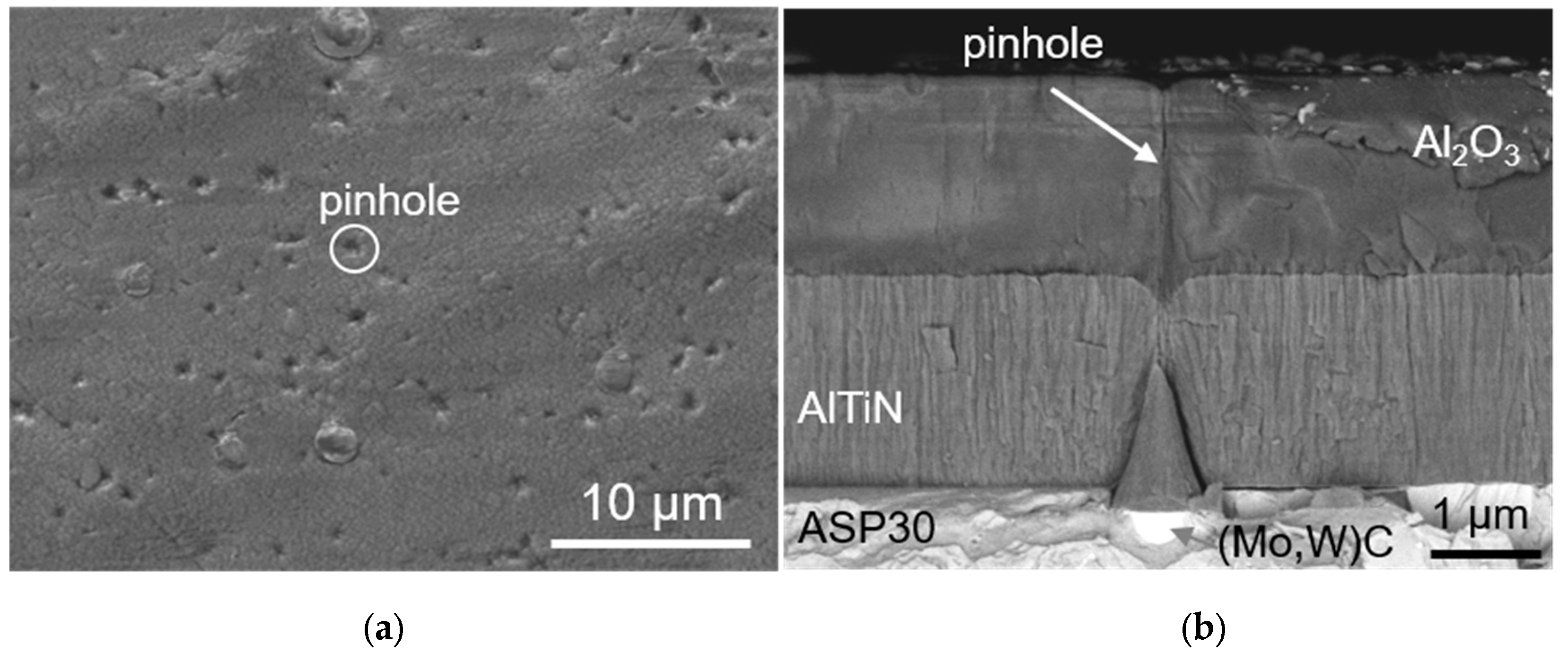 Coatings 09 00511 g002