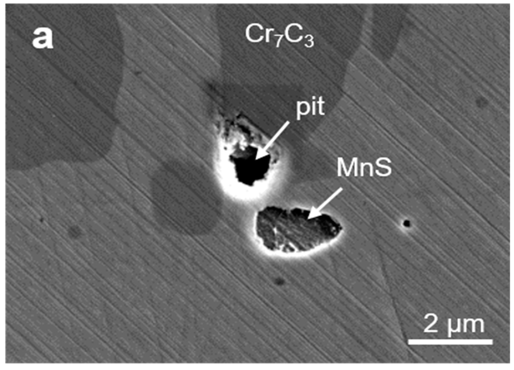 Coatings 09 00511 g003a