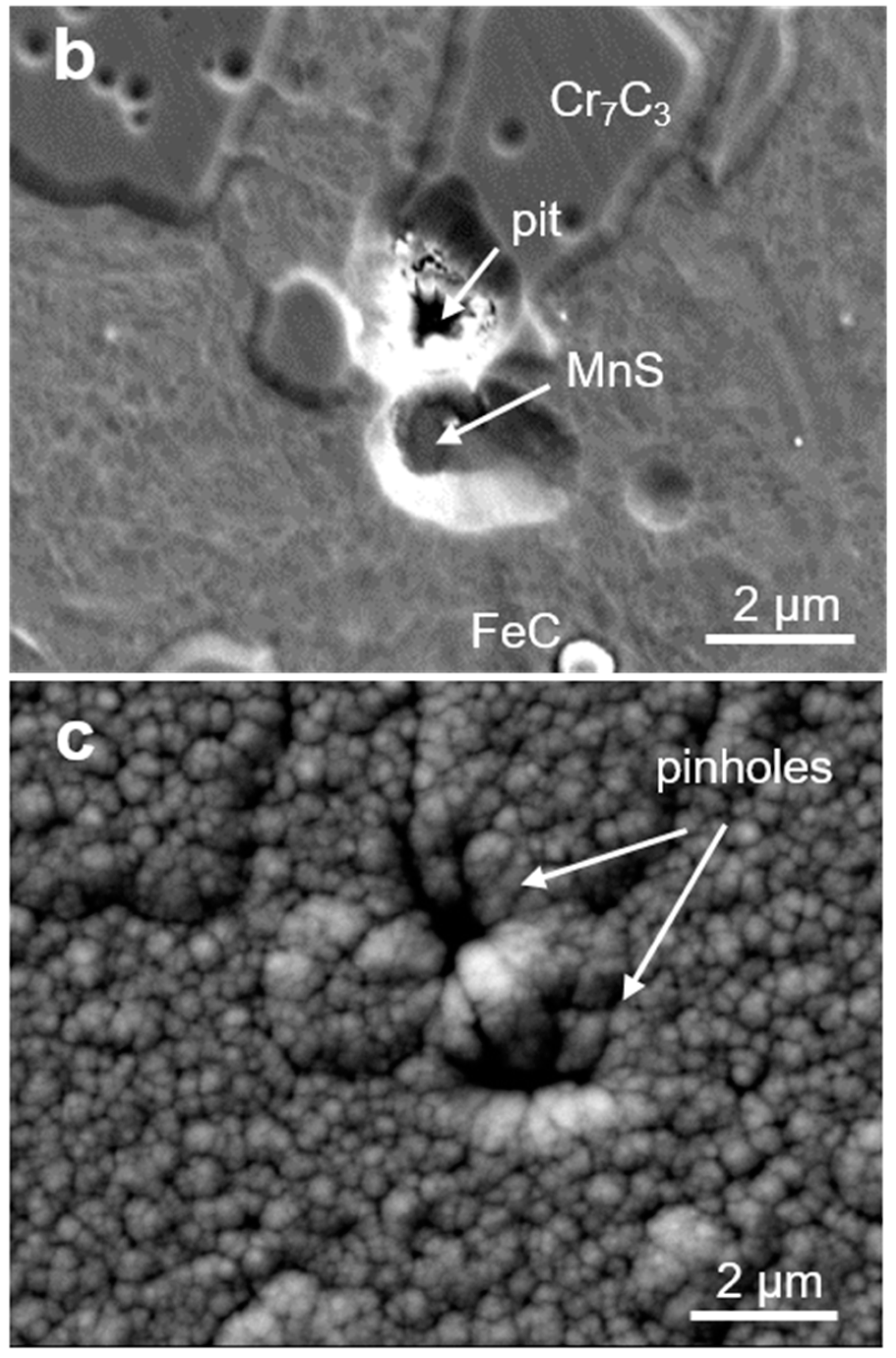 Coatings 09 00511 g003b