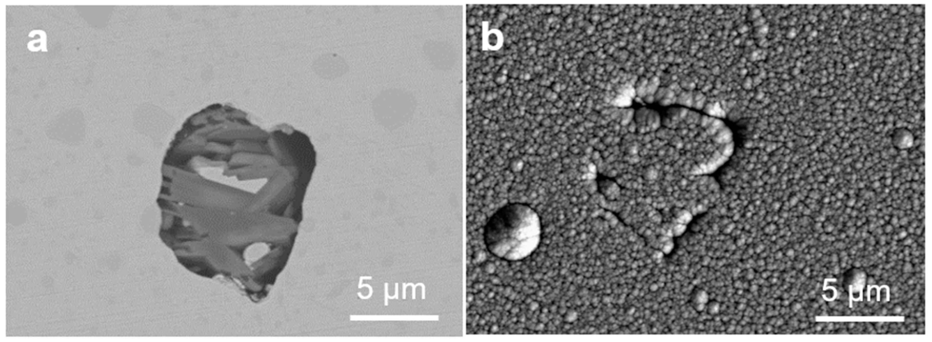 Coatings 09 00511 g004