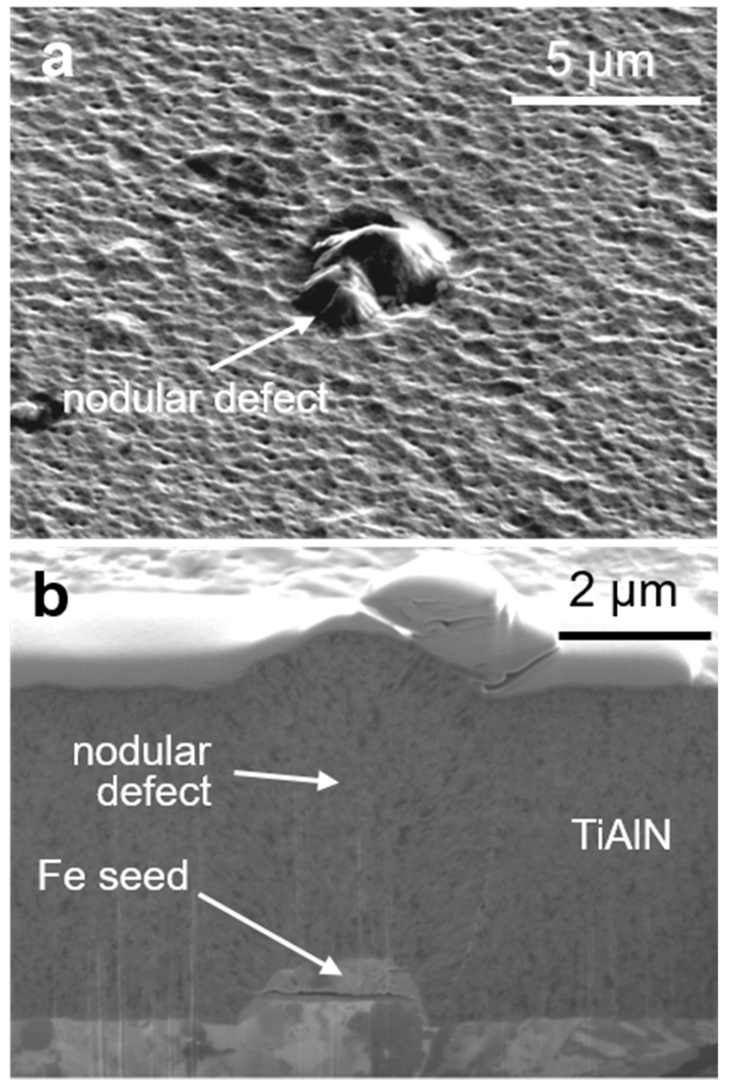 Coatings 09 00511 g008