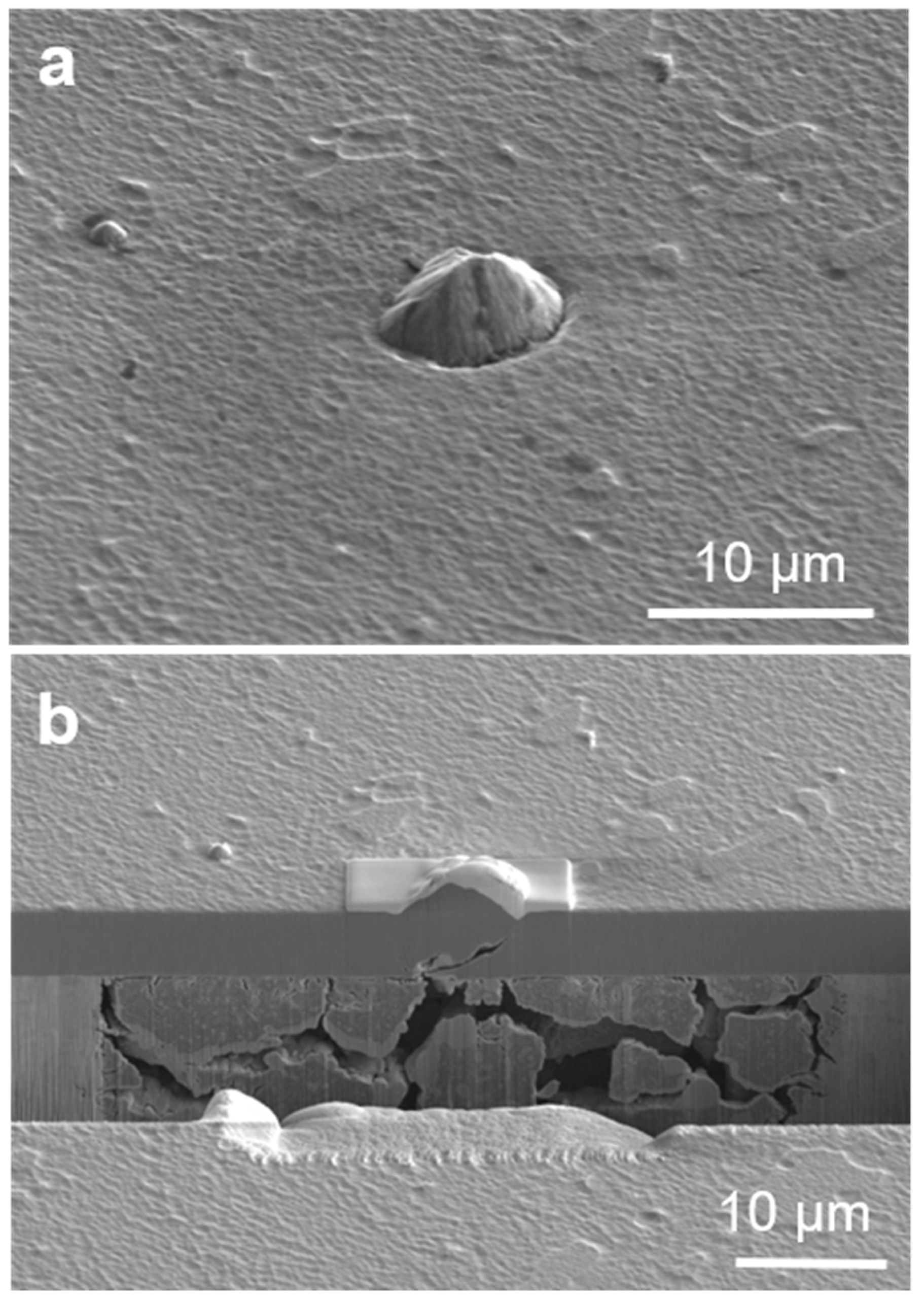 Coatings 09 00511 g009