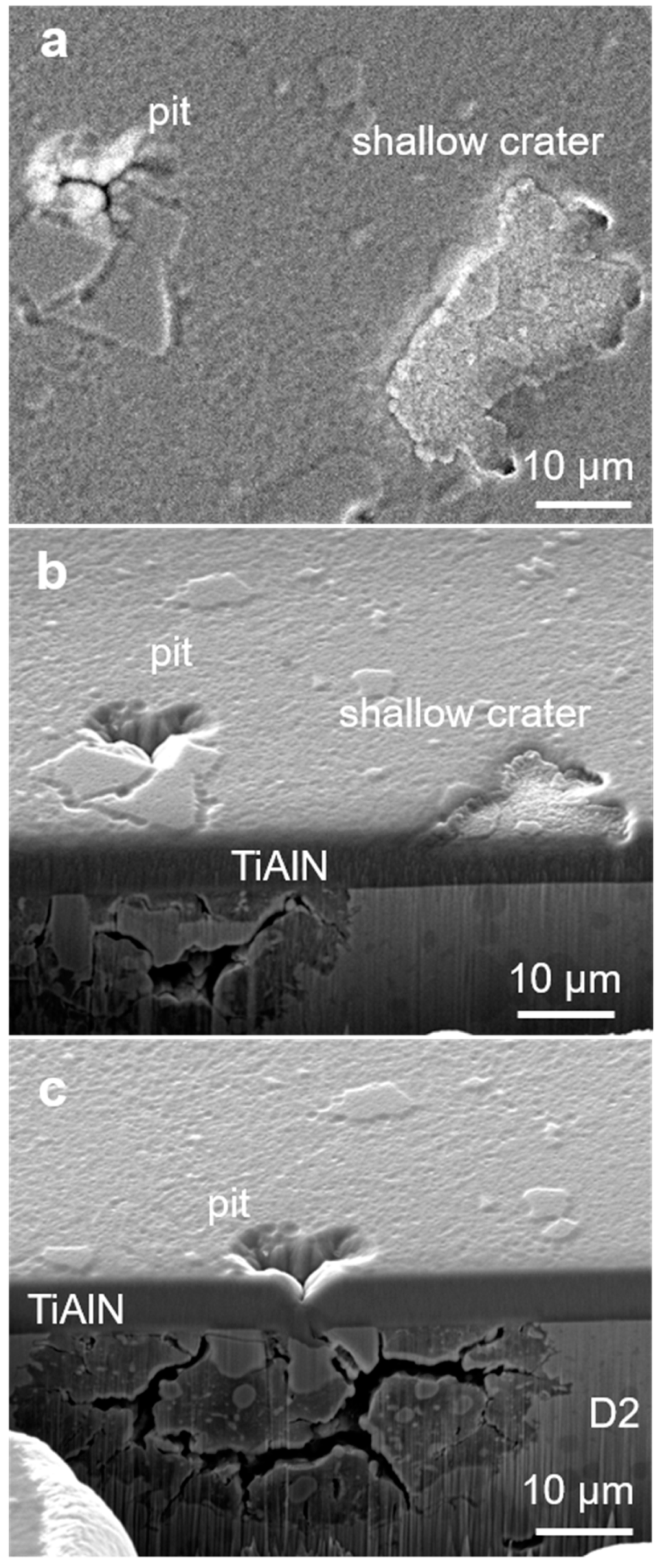 Coatings 09 00511 g011