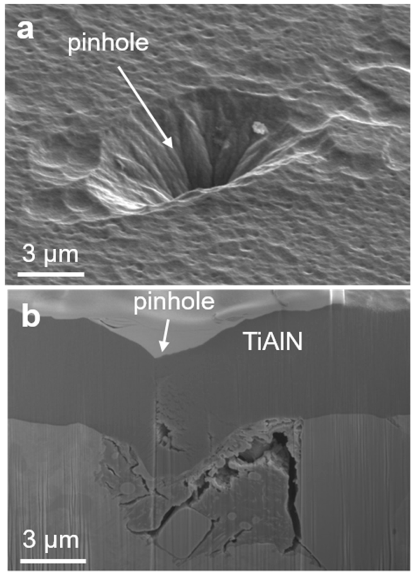 Coatings 09 00511 g012