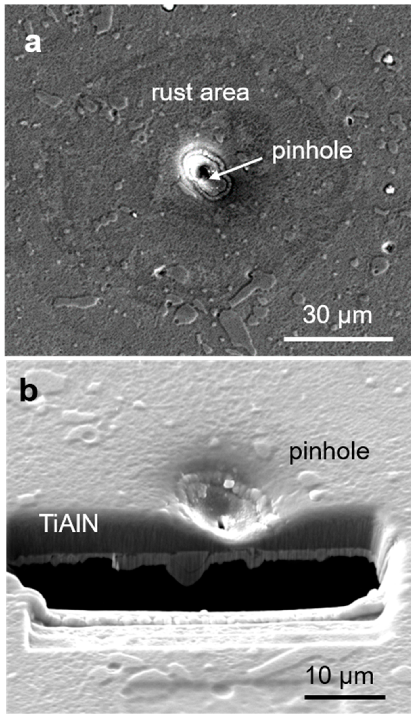 Coatings 09 00511 g013