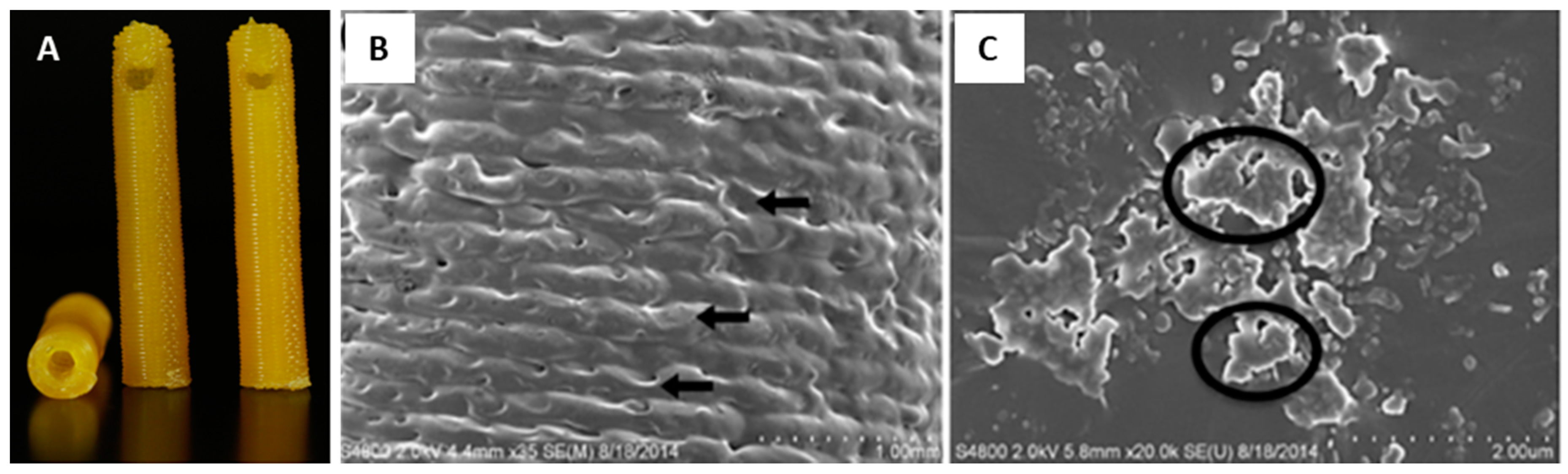 Coatings 09 00515 g004