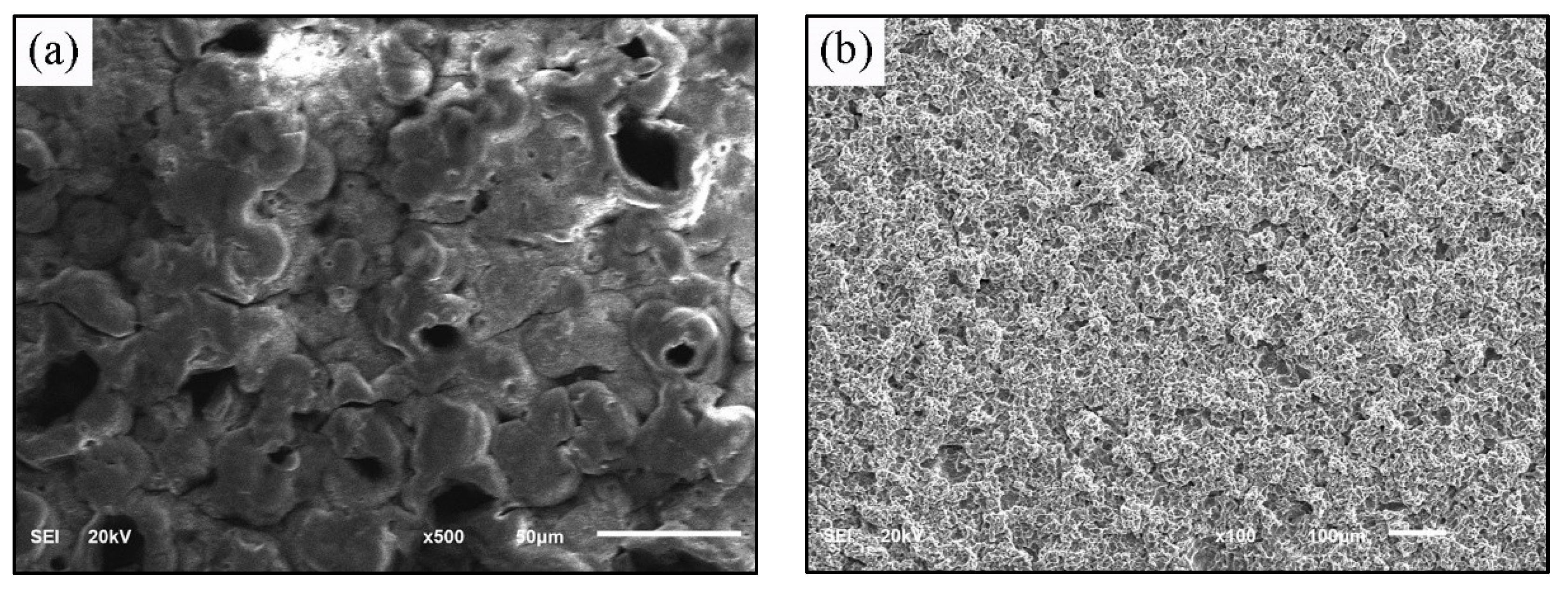 Coatings 09 00521 g004a