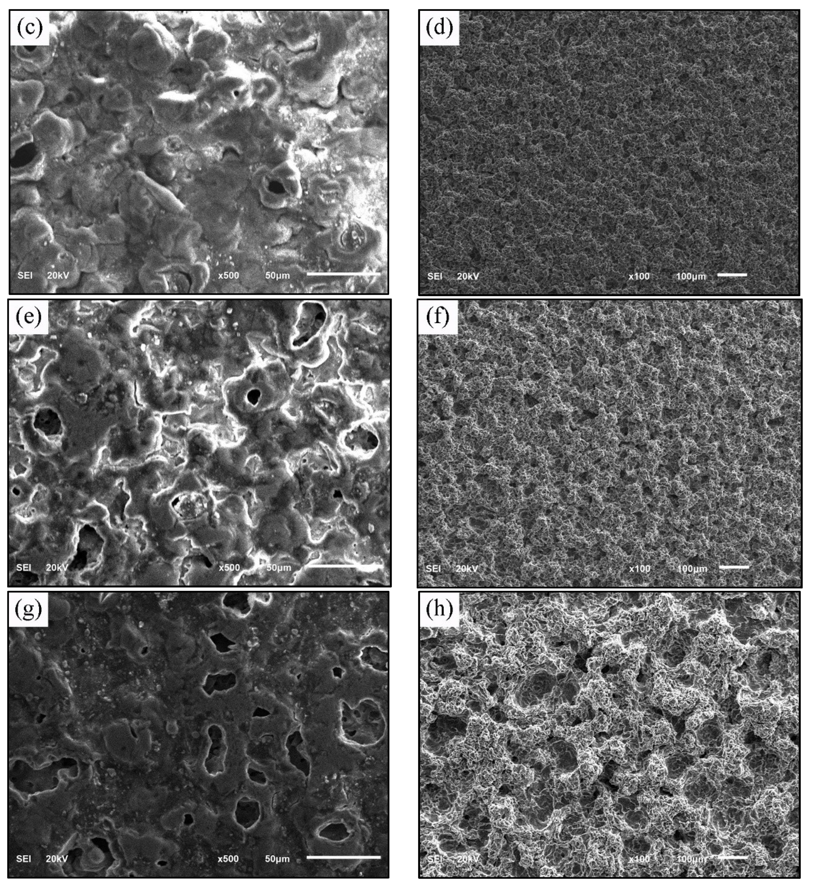 Coatings 09 00521 g004b