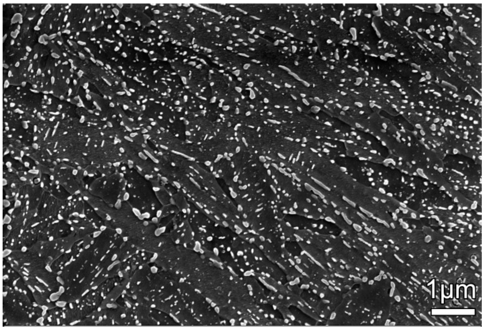 Coatings 09 00529 g001 Coatings 09 00529 g001