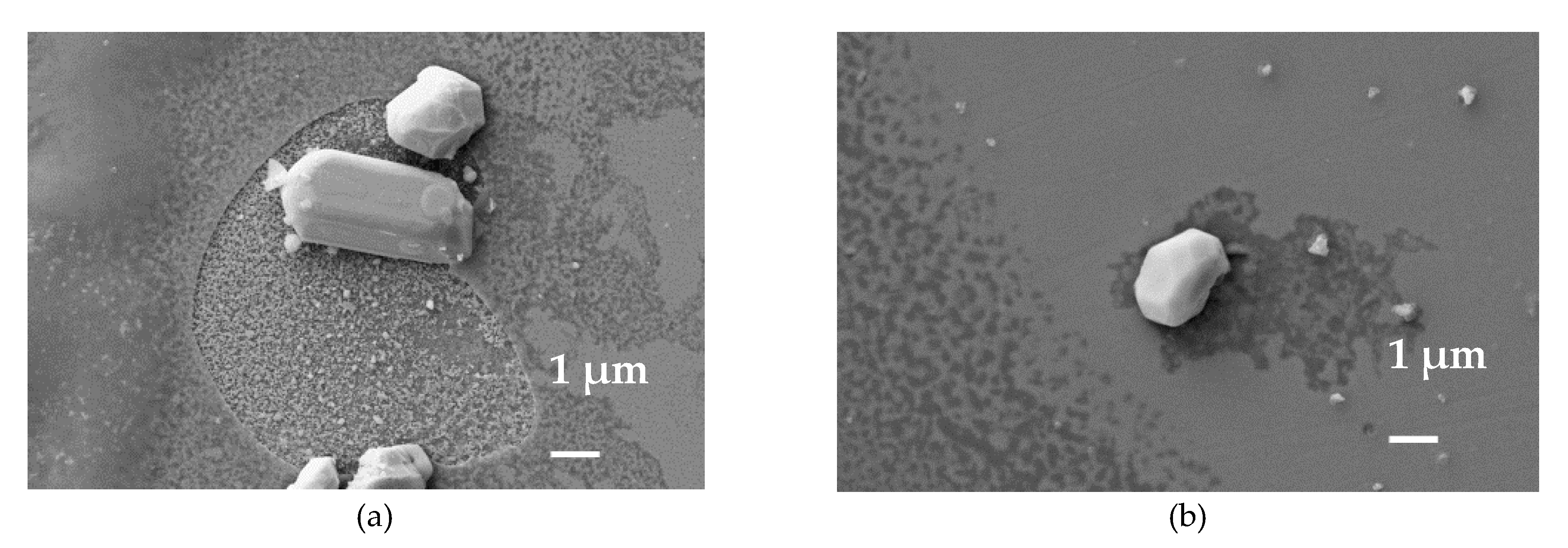Coatings 09 00593 g007 Coatings 09 00593 g007