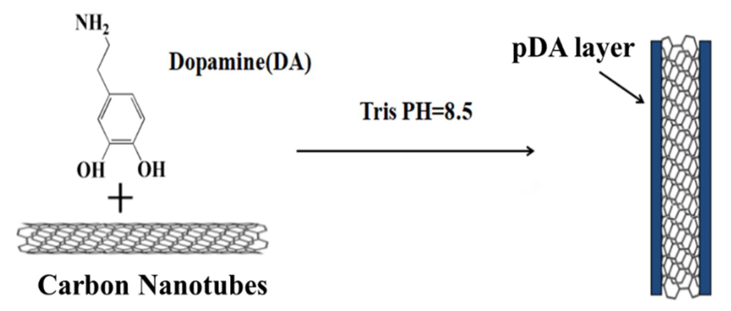 Coatings 09 00596 g001