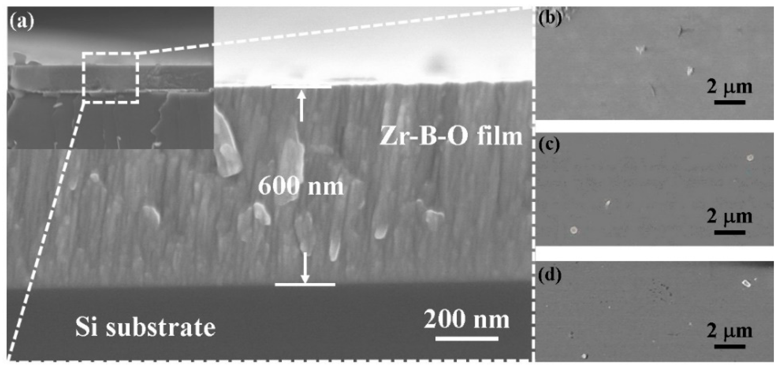 Coatings 09 00611 g002