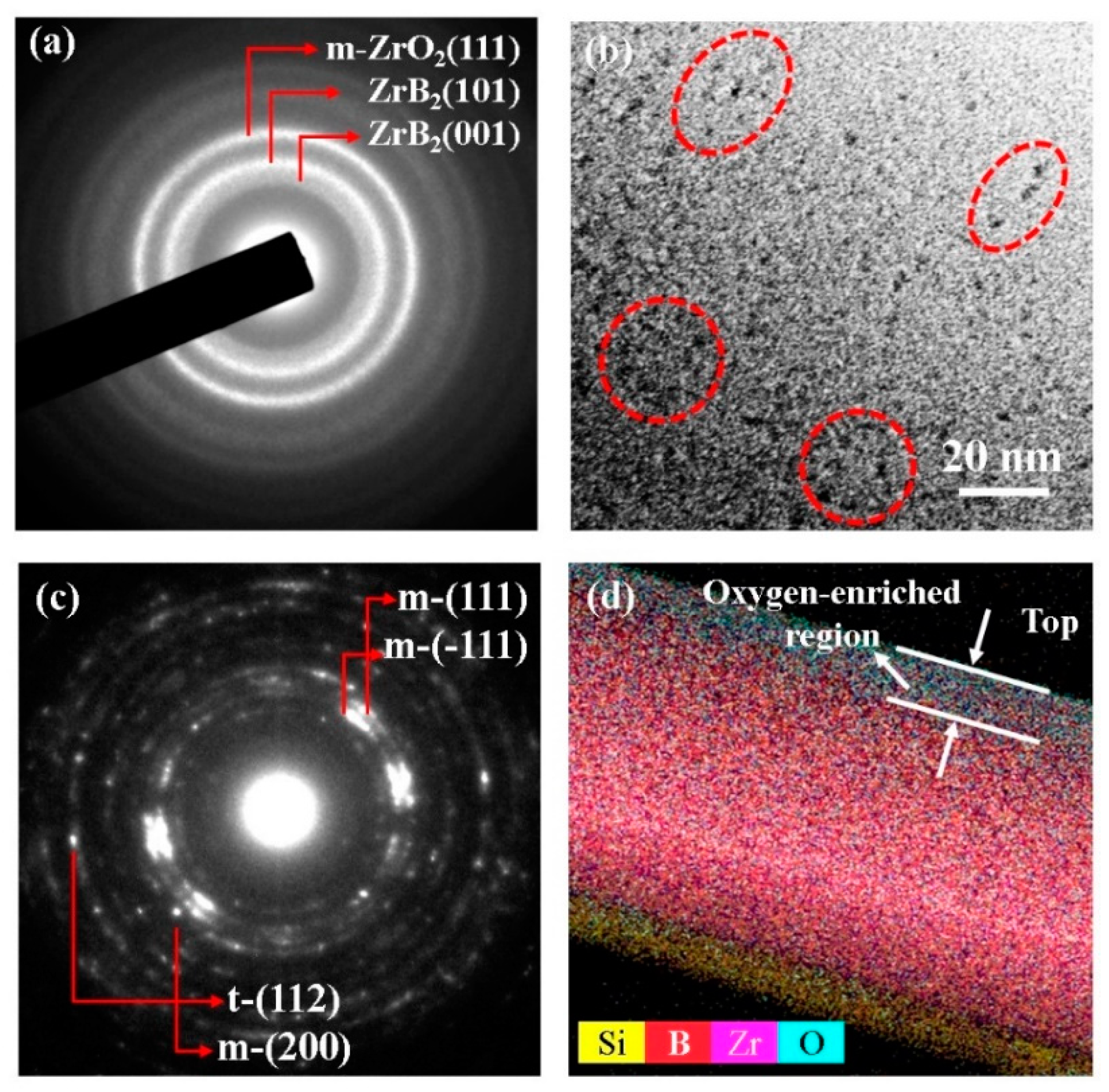Coatings 09 00611 g008