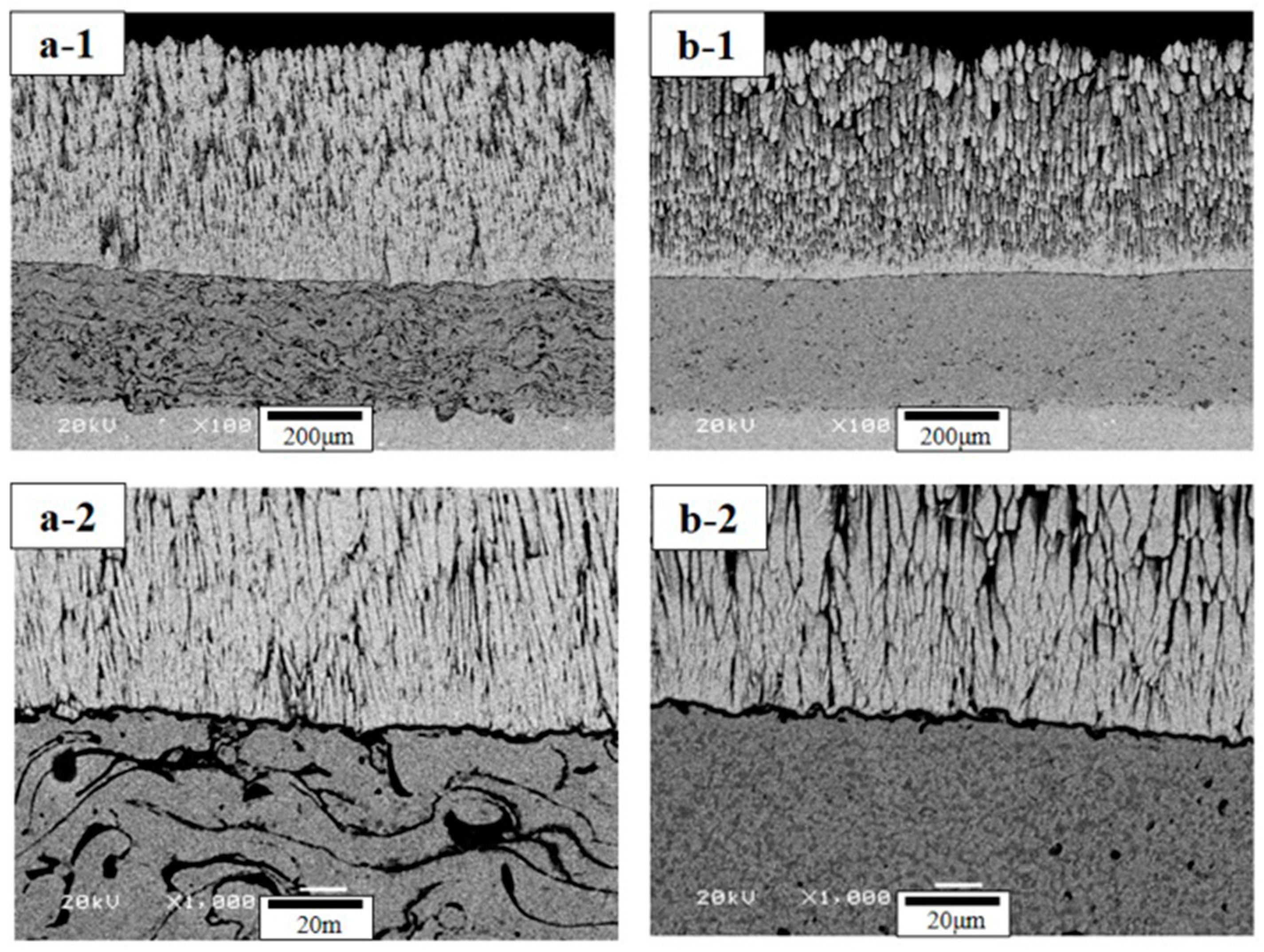 Coatings 09 00626 g001