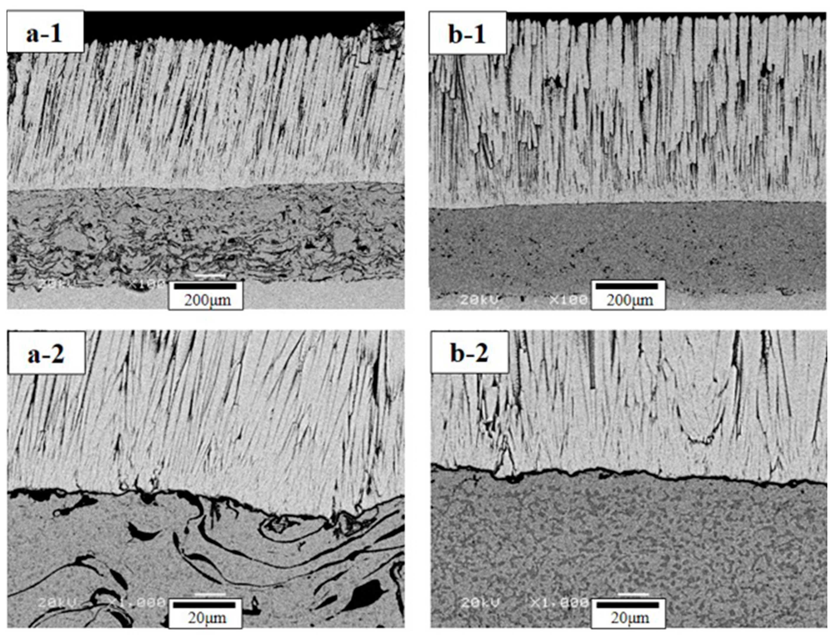 Coatings 09 00626 g002