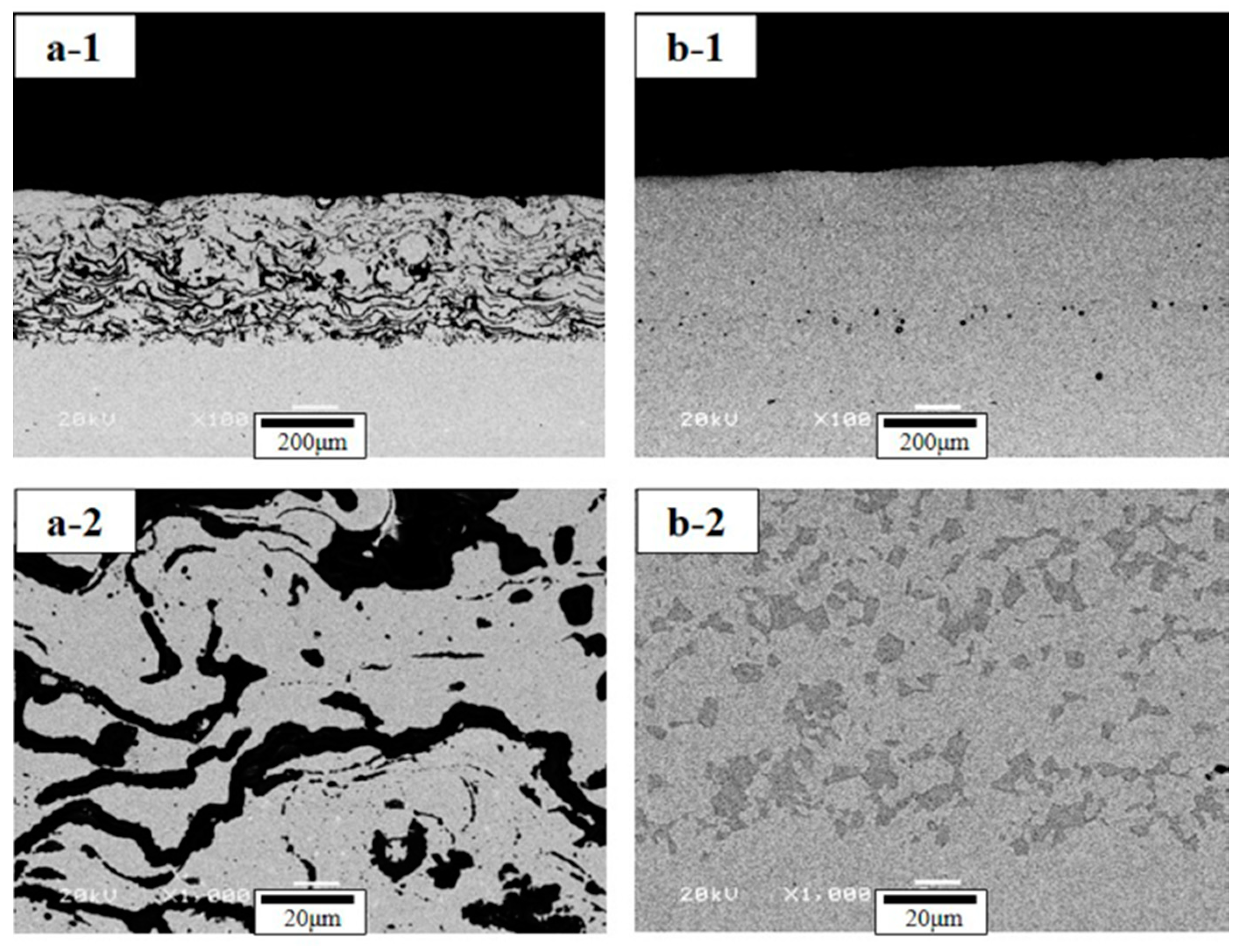 Coatings 09 00626 g003