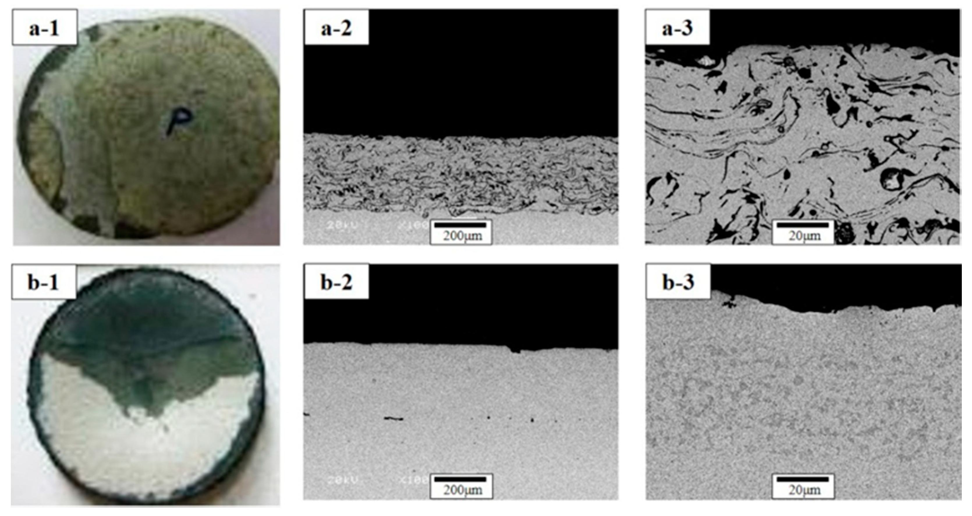 Coatings 09 00626 g005