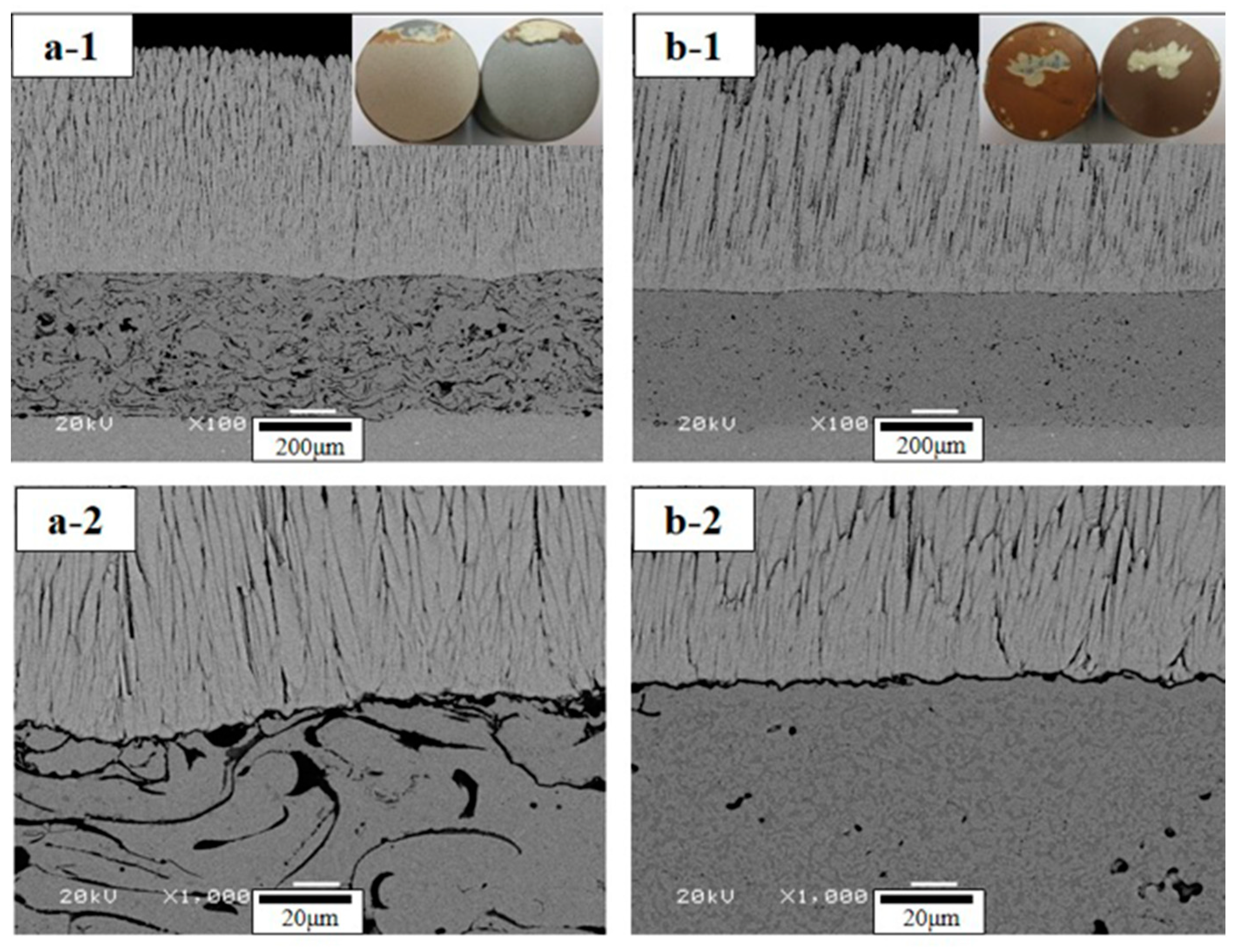 Coatings 09 00626 g008