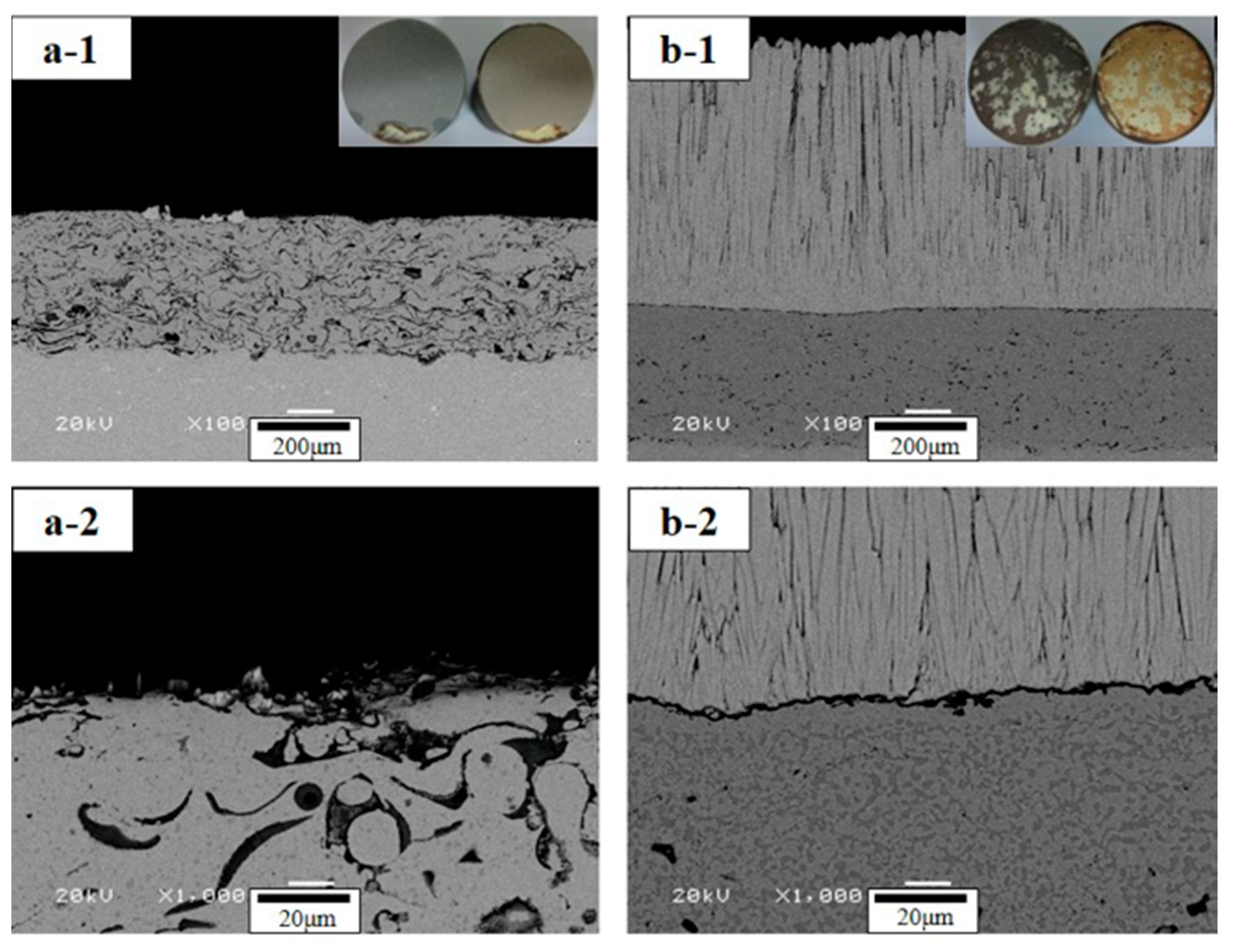 Coatings 09 00626 g009