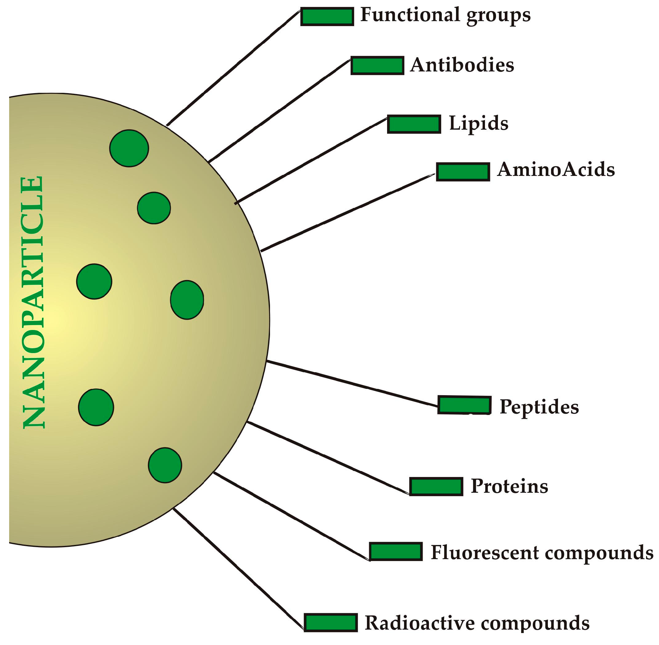 Coatings 09 00628 g006 Coatings 09 00628 g006