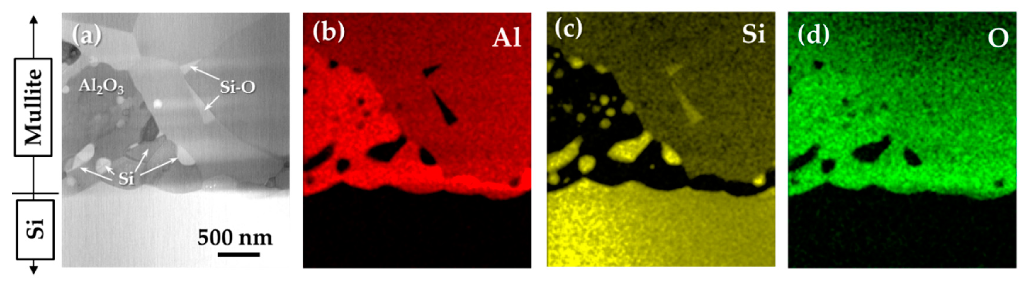 Coatings 09 00630 g005