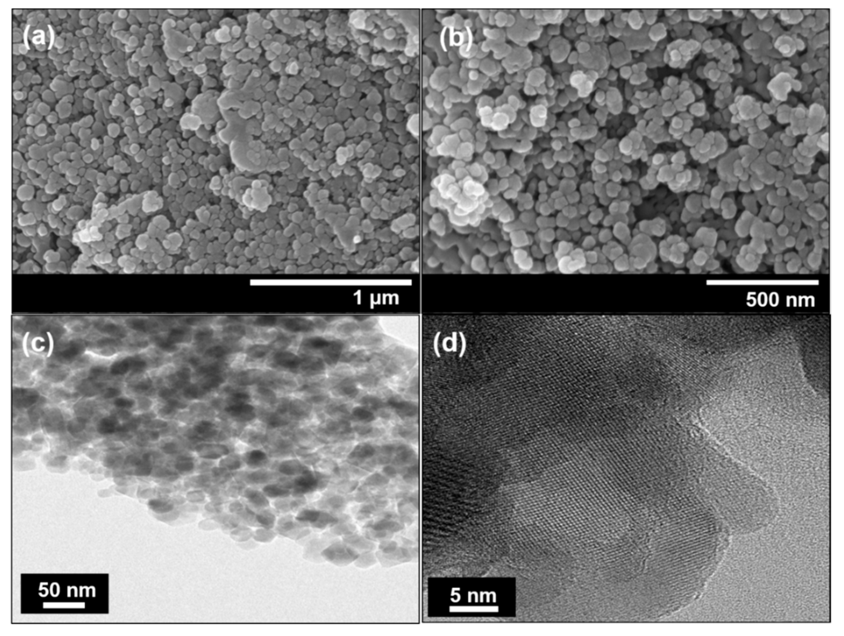 Coatings 09 00631 g001