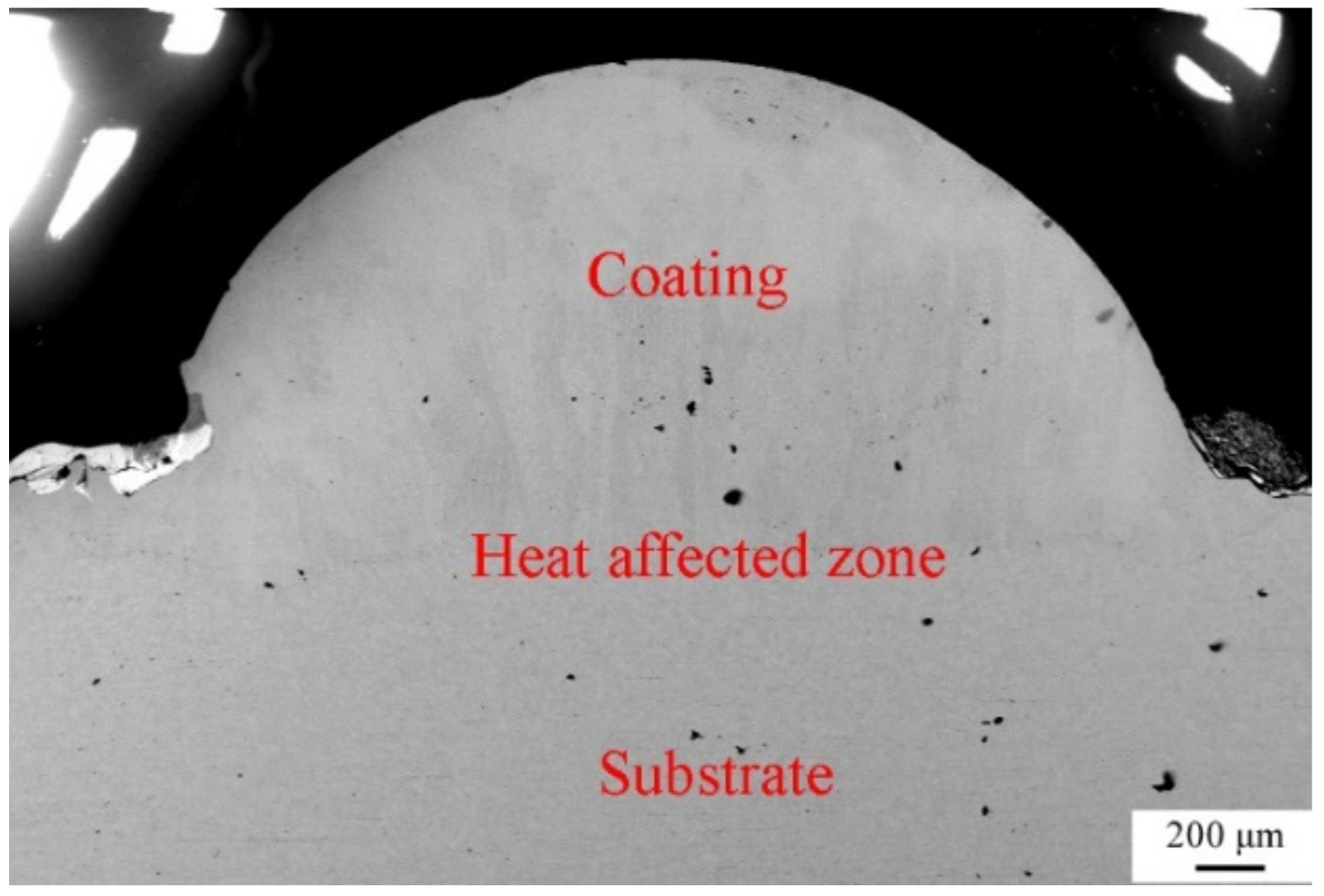 Coatings 09 00636 g002