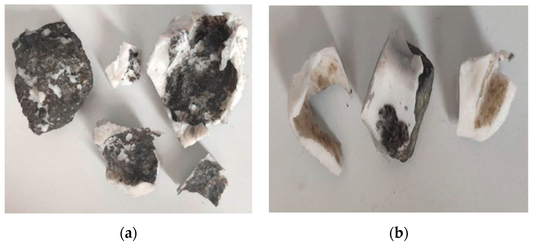 Coatings 09 00637 g014