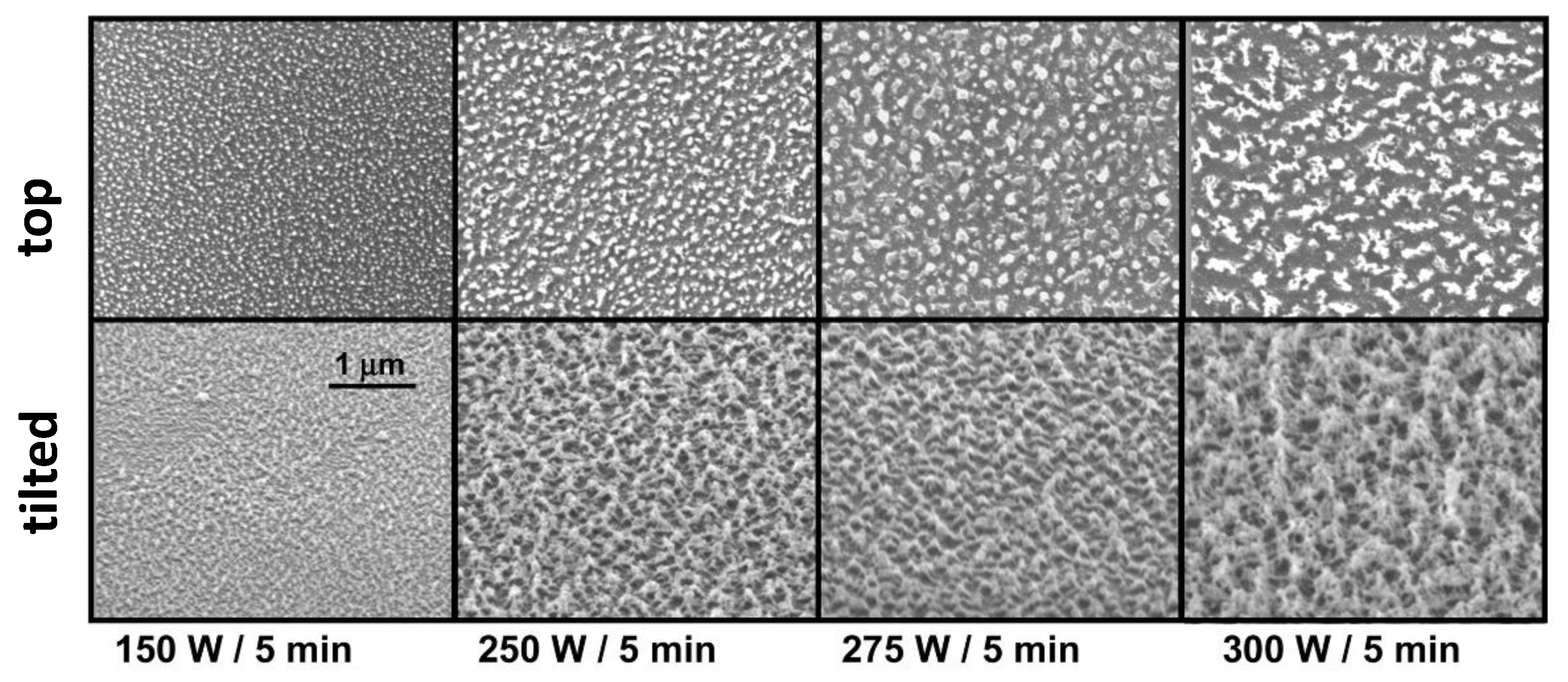 Coatings 09 00640 g002