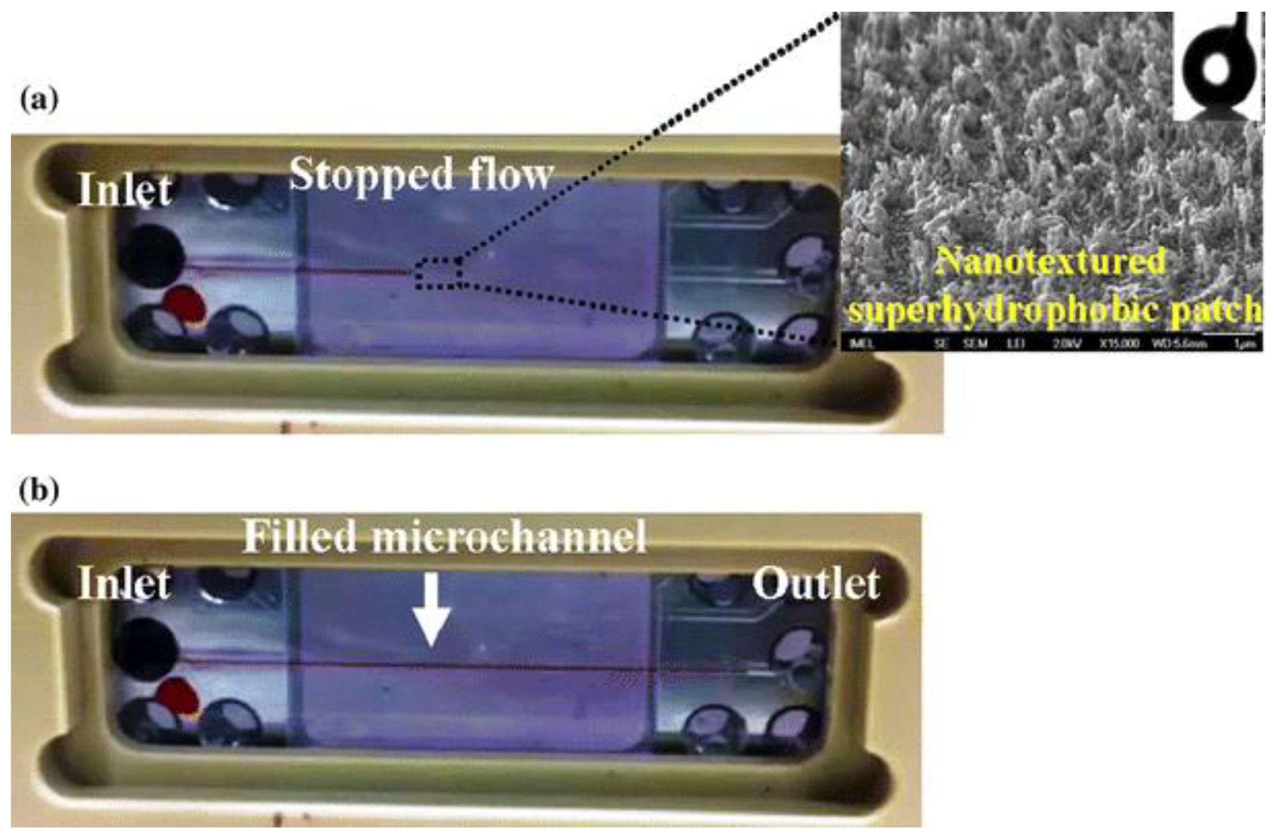 Coatings 09 00640 g003
