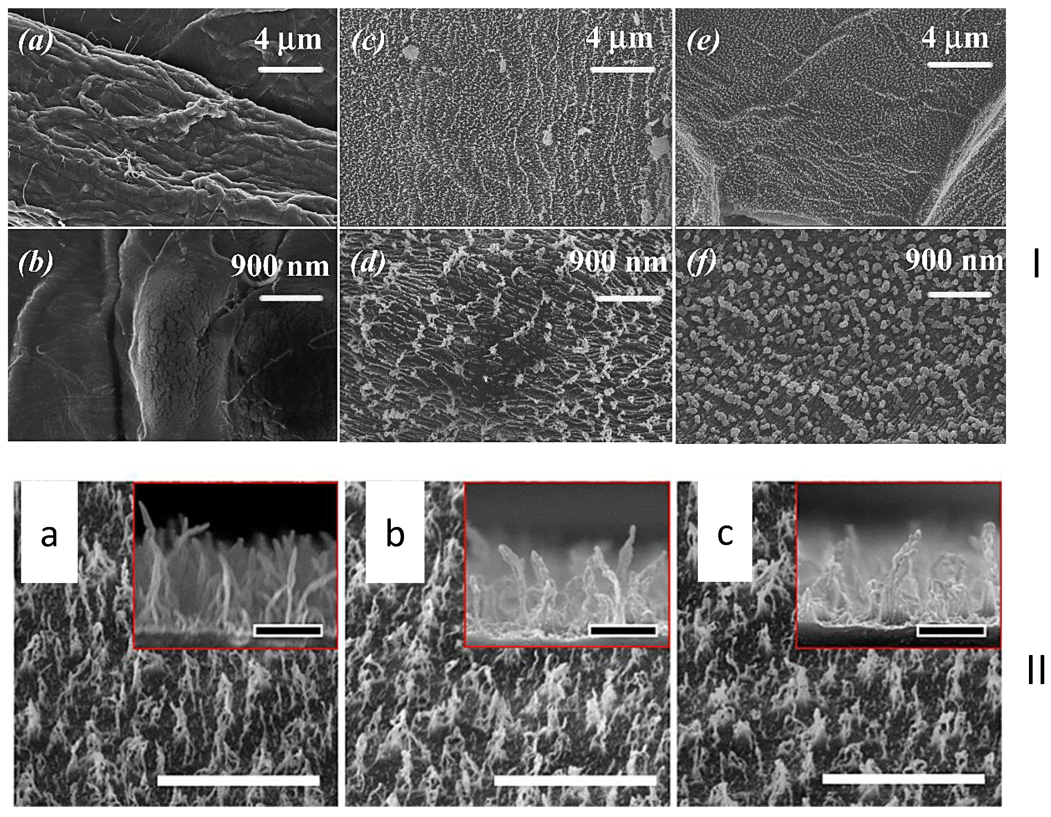 Coatings 09 00640 g006