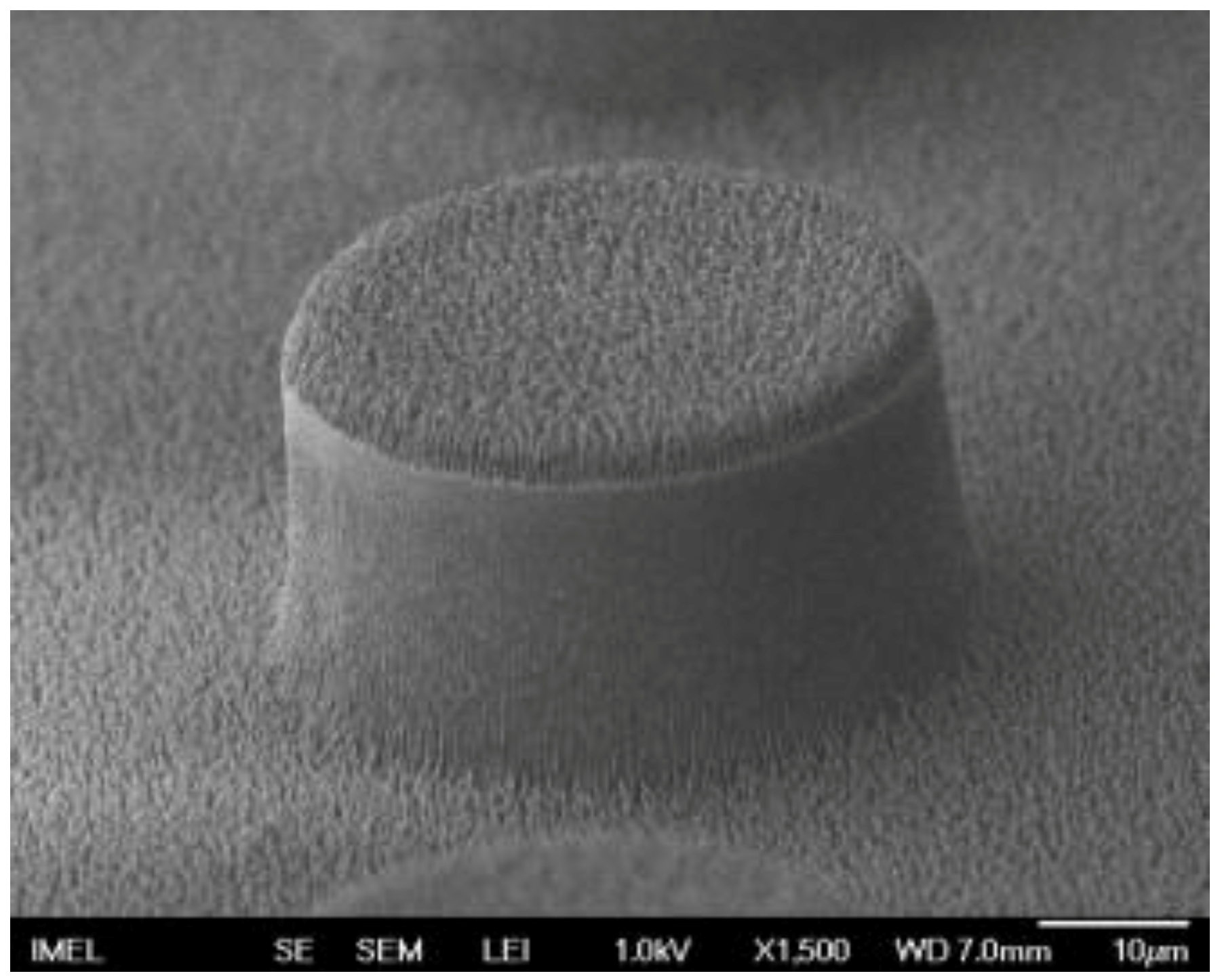 Coatings 09 00640 g007