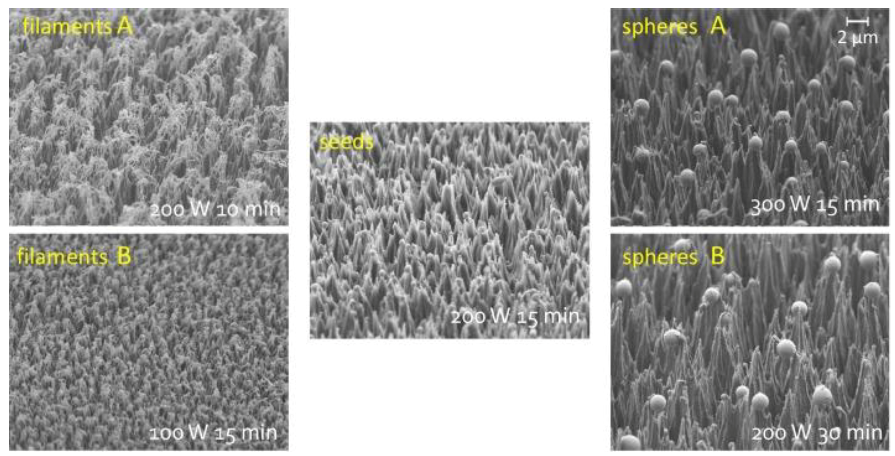 Coatings 09 00640 g008