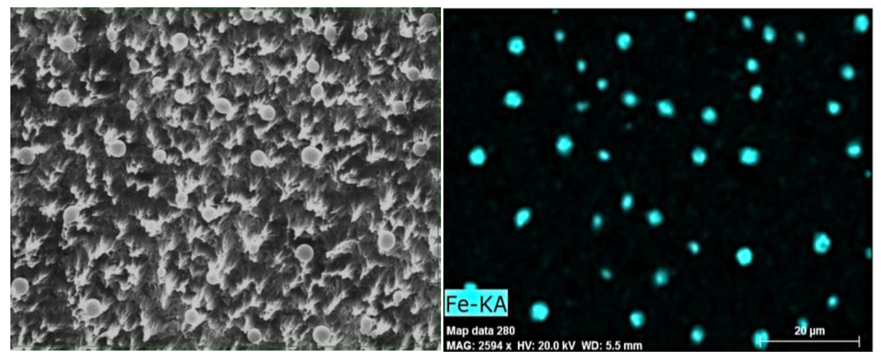 Coatings 09 00640 g009