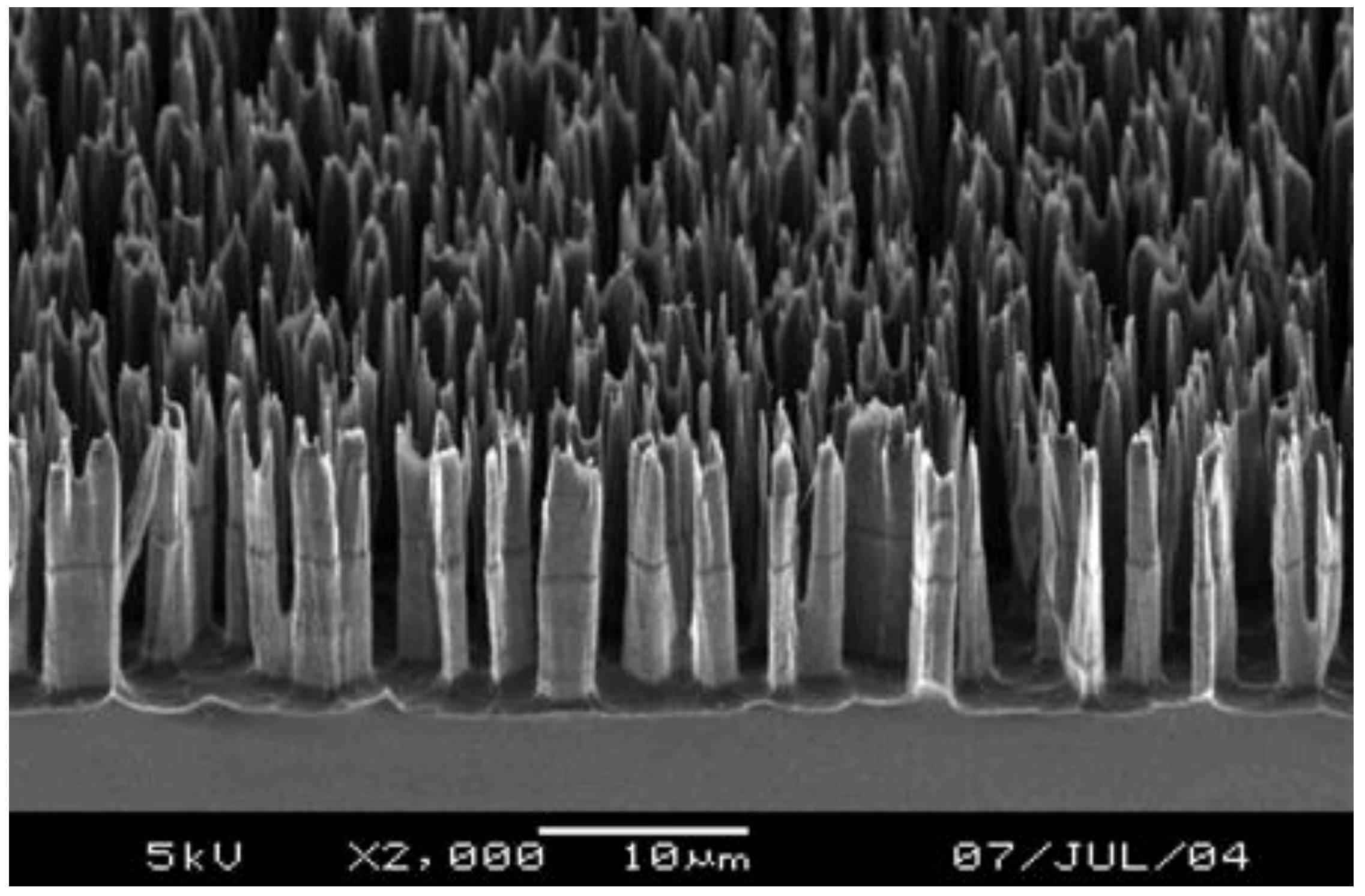 Coatings 09 00640 g011