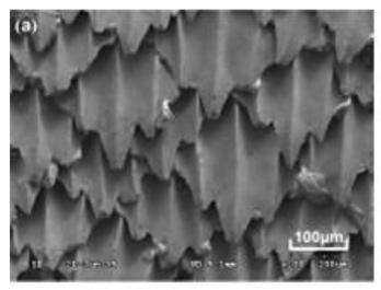 Coatings 09 00640 i003 Coatings 09 00640 i003