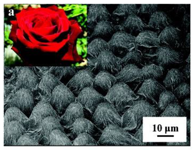 Coatings 09 00640 i007 Coatings 09 00640 i007