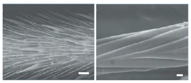 Coatings 09 00640 i009 Coatings 09 00640 i009