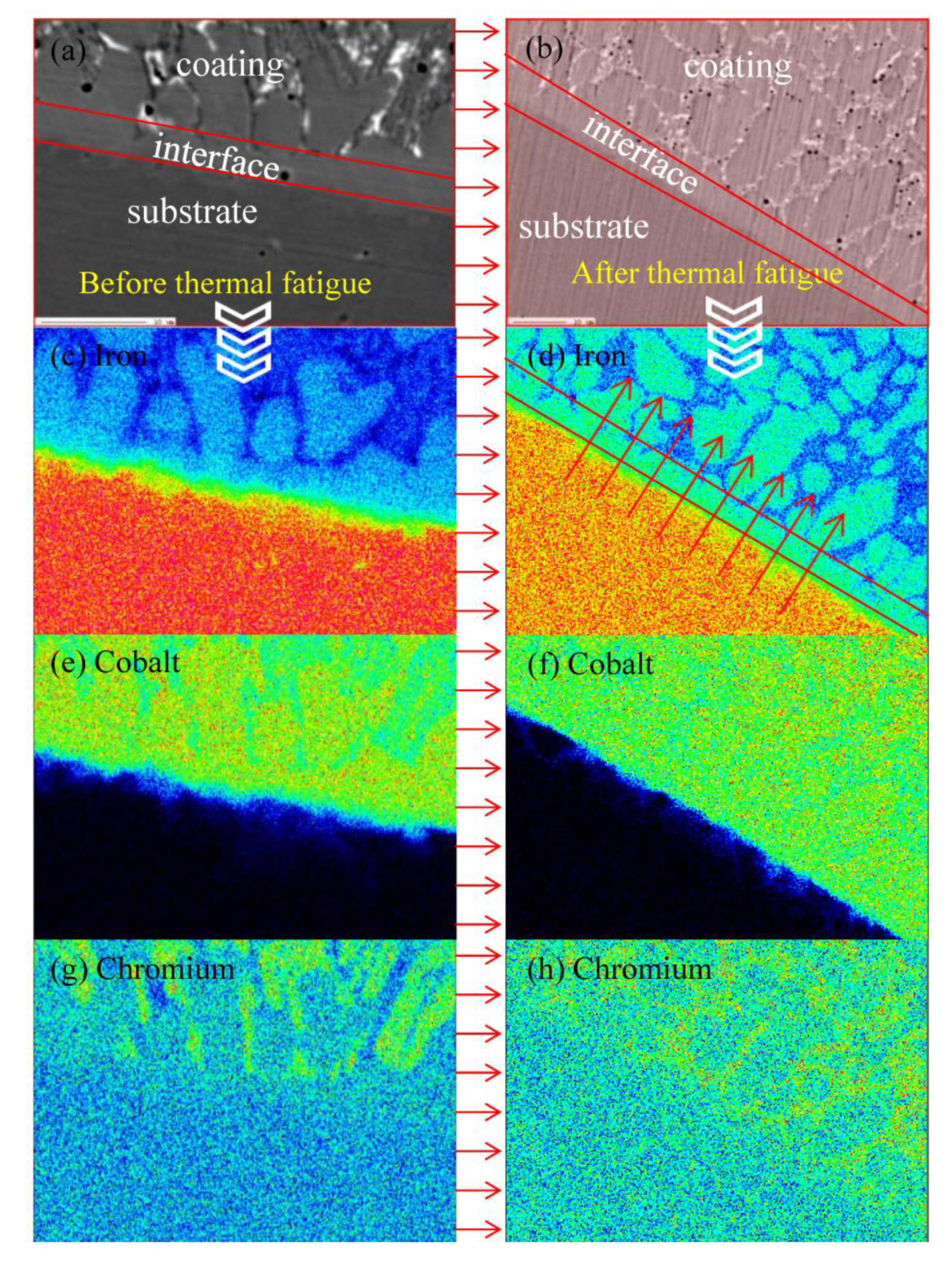 Coatings 09 00646 g008