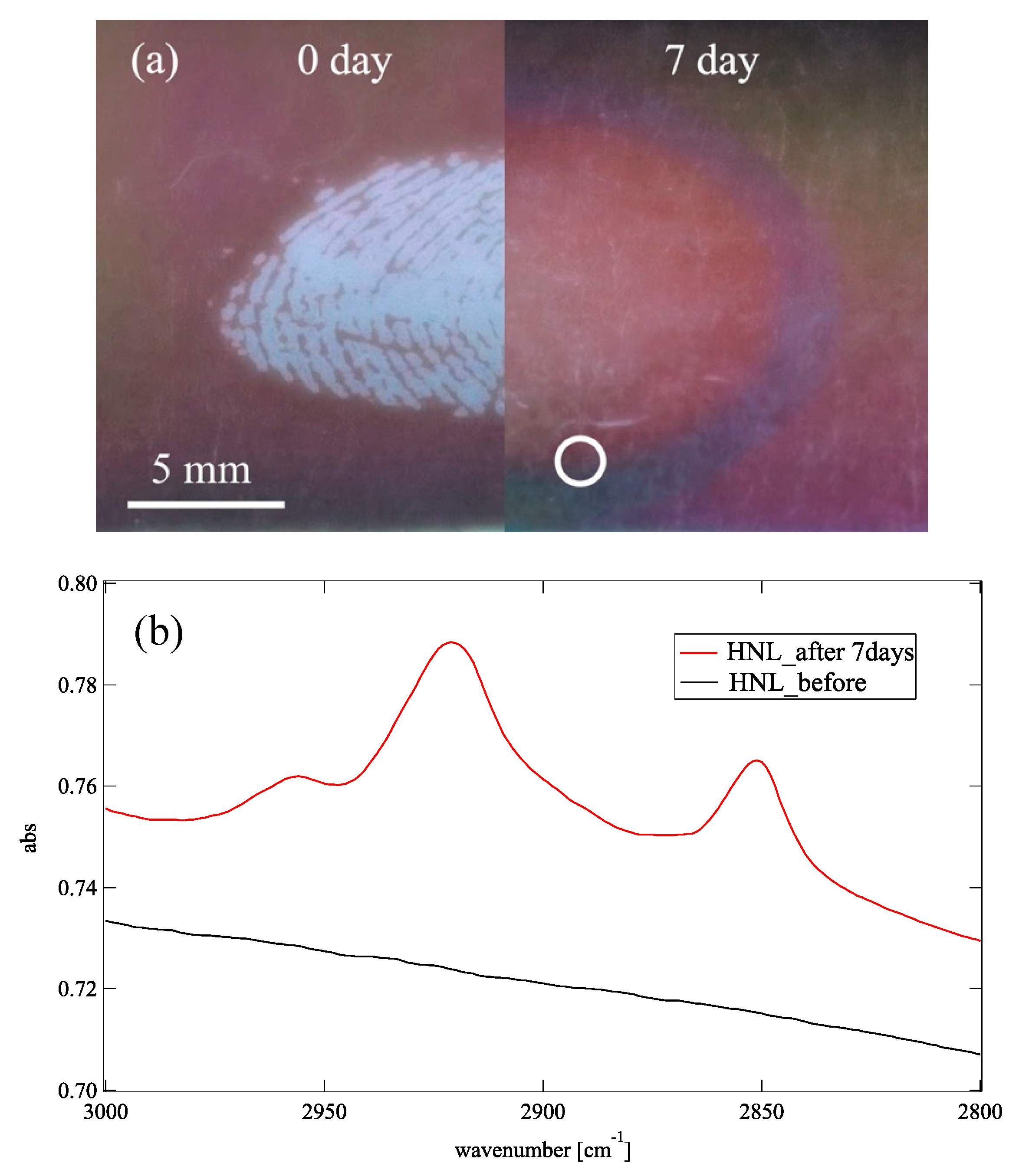 Coatings 09 00653 g004