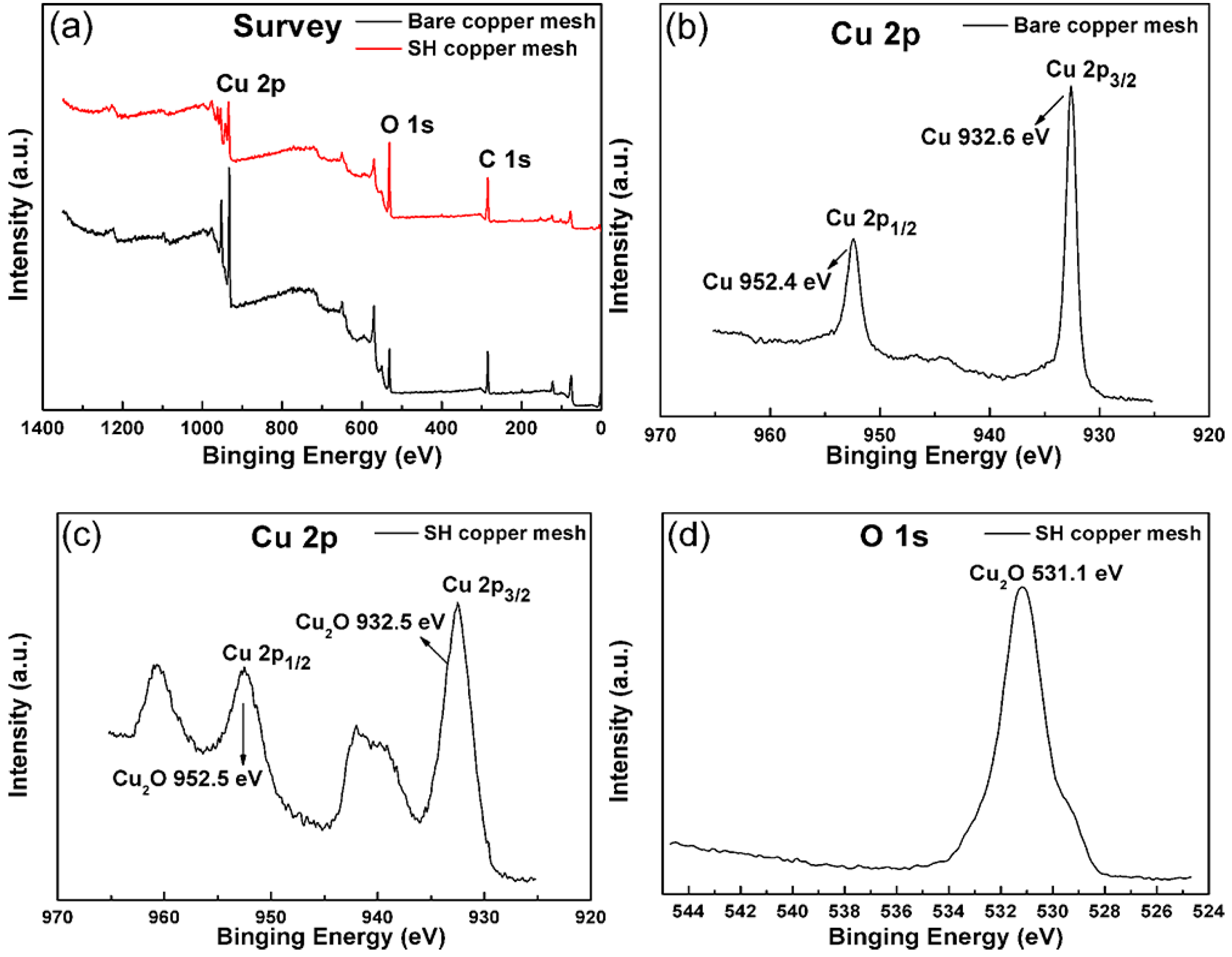 Coatings 09 00659 g001