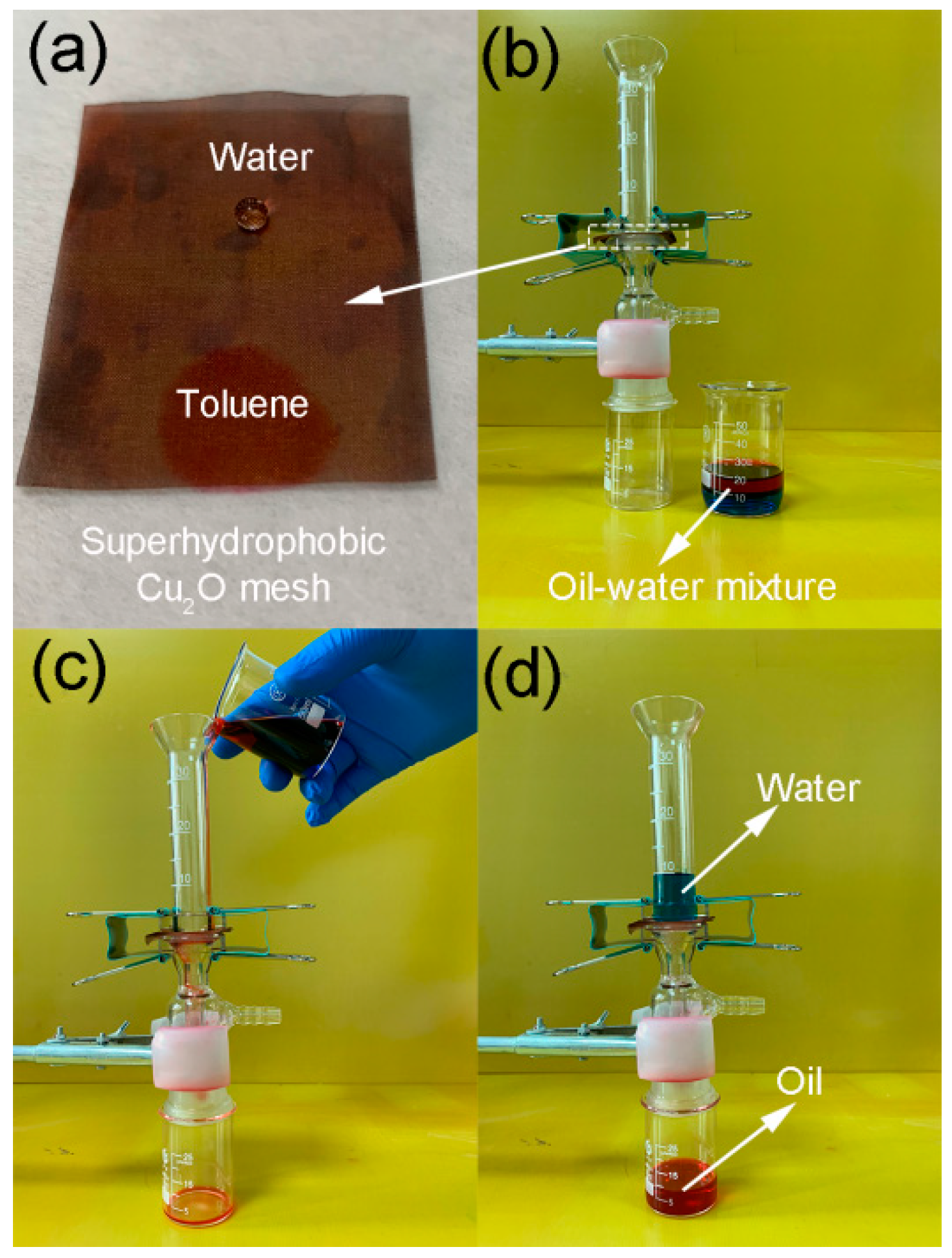 Coatings 09 00659 g005