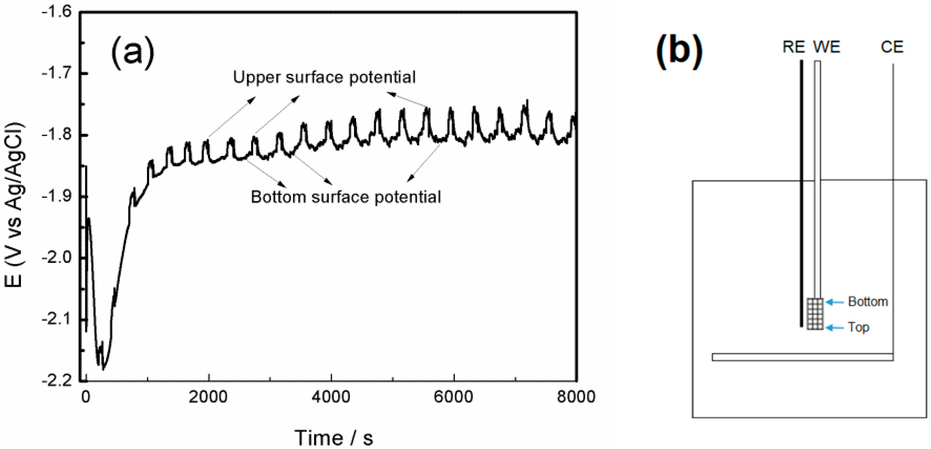 Coatings 09 00667 g002