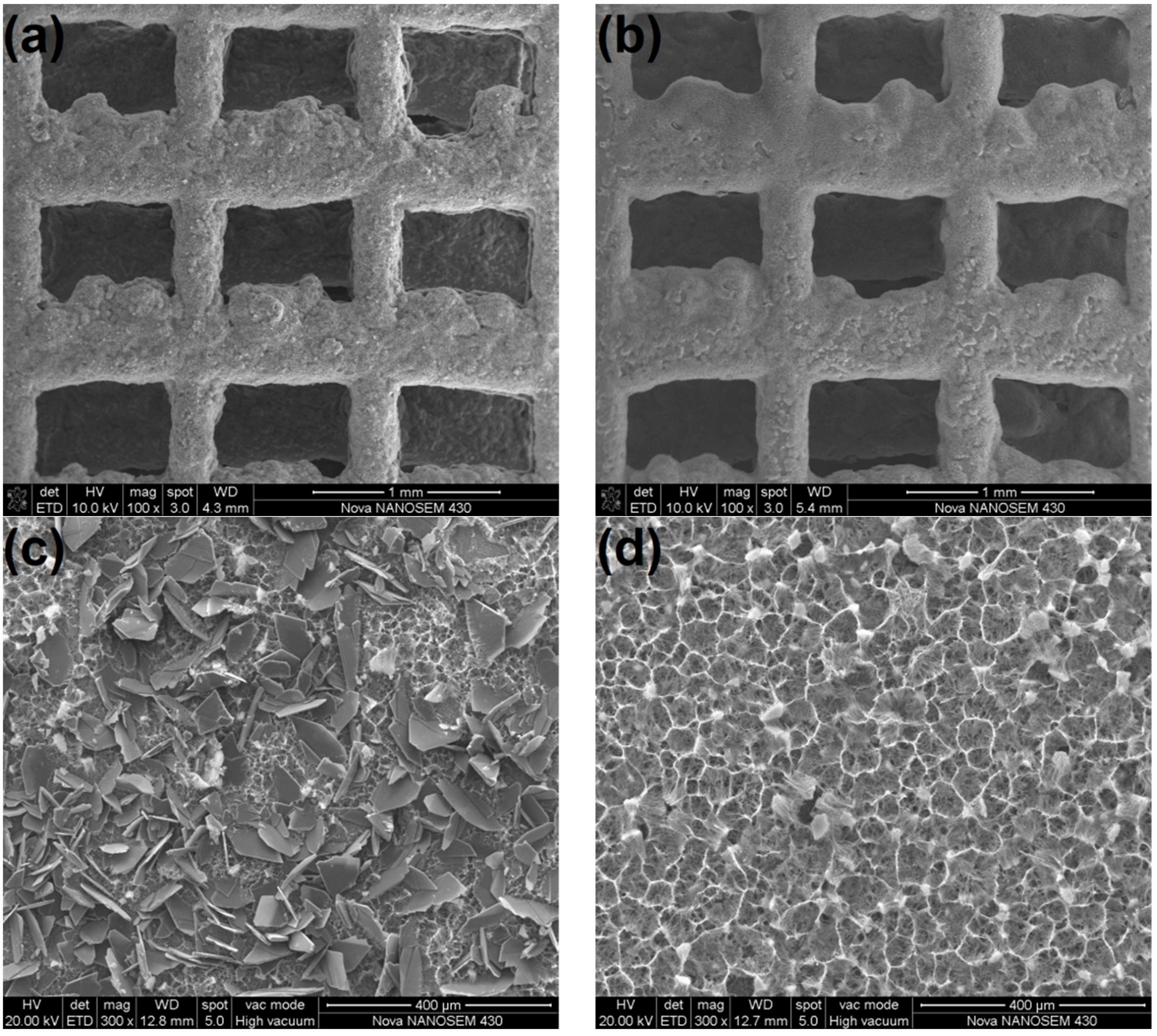 Coatings 09 00667 g003