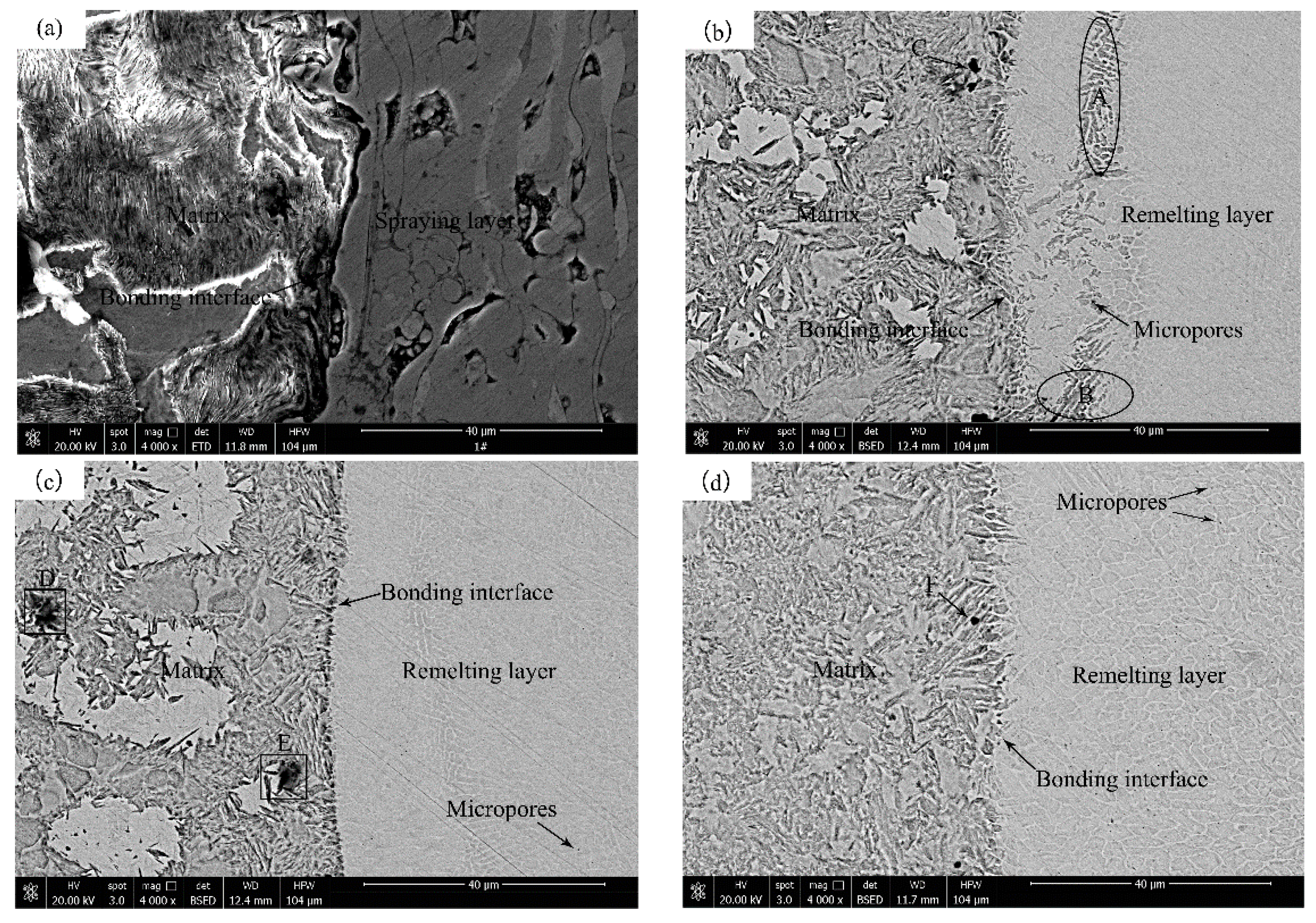 Coatings 09 00677 g003