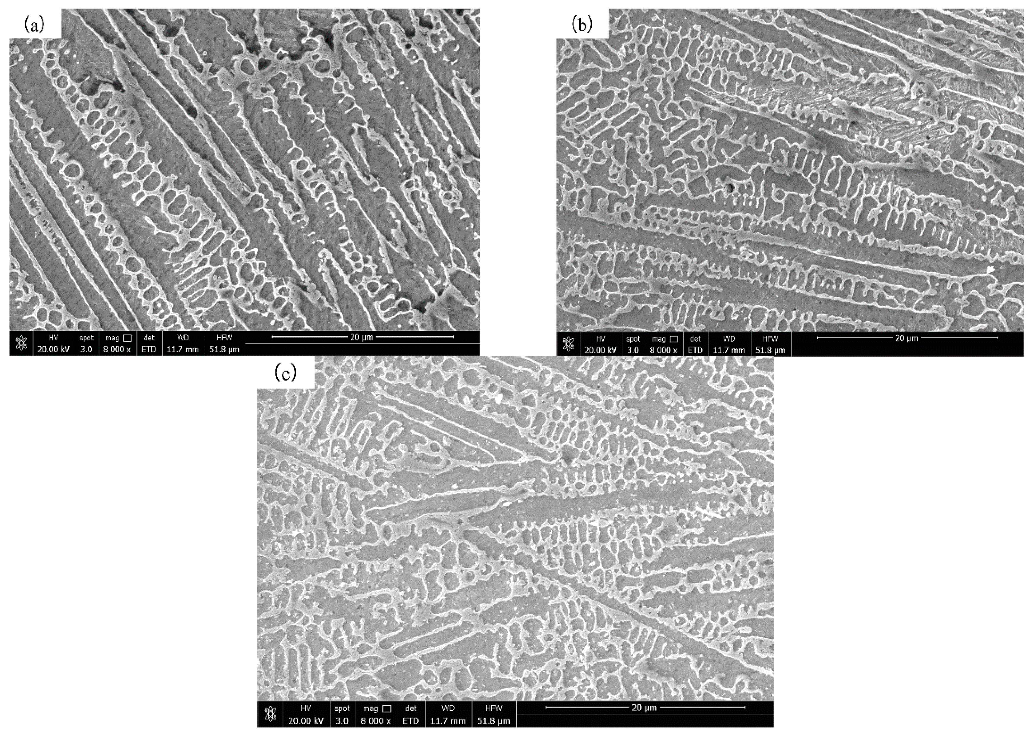 Coatings 09 00677 g007