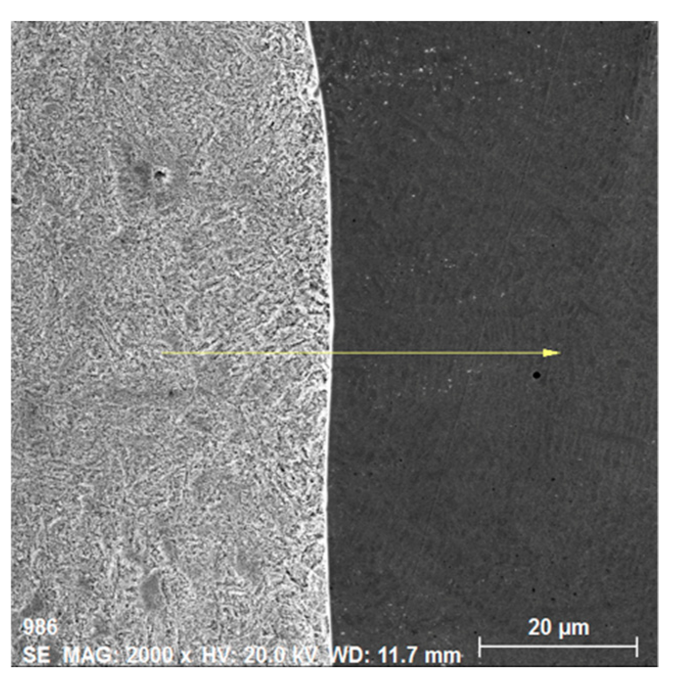 Coatings 09 00677 g008