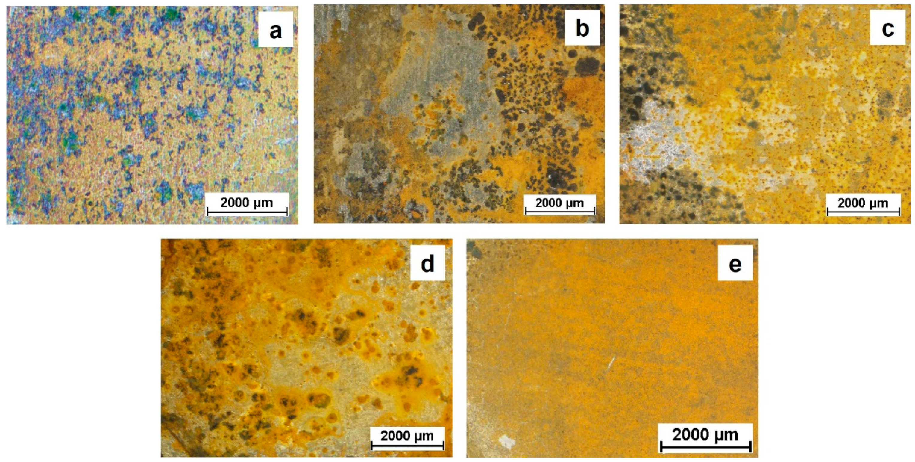 Coatings 09 00680 g009